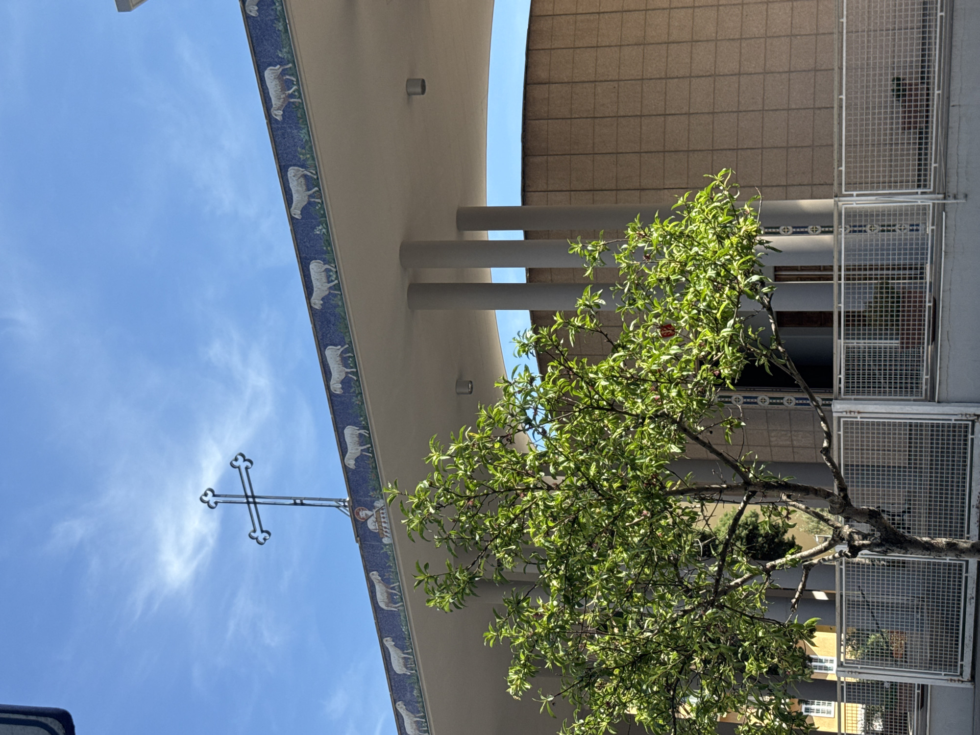 Rome street walk captures church, buildings, poodle near San Clemente