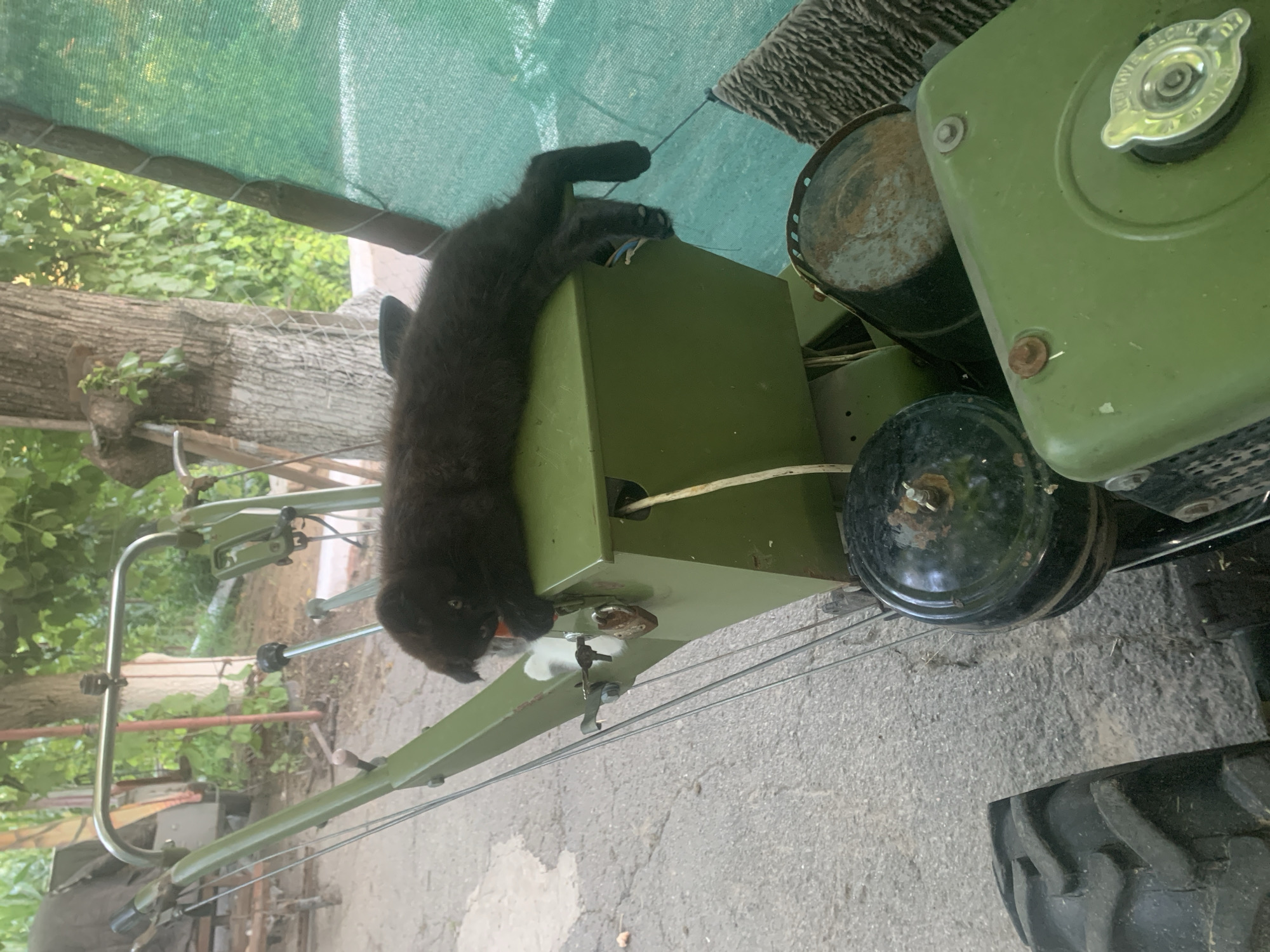 Kittens nap on a farm cultivator in rural Ukraine