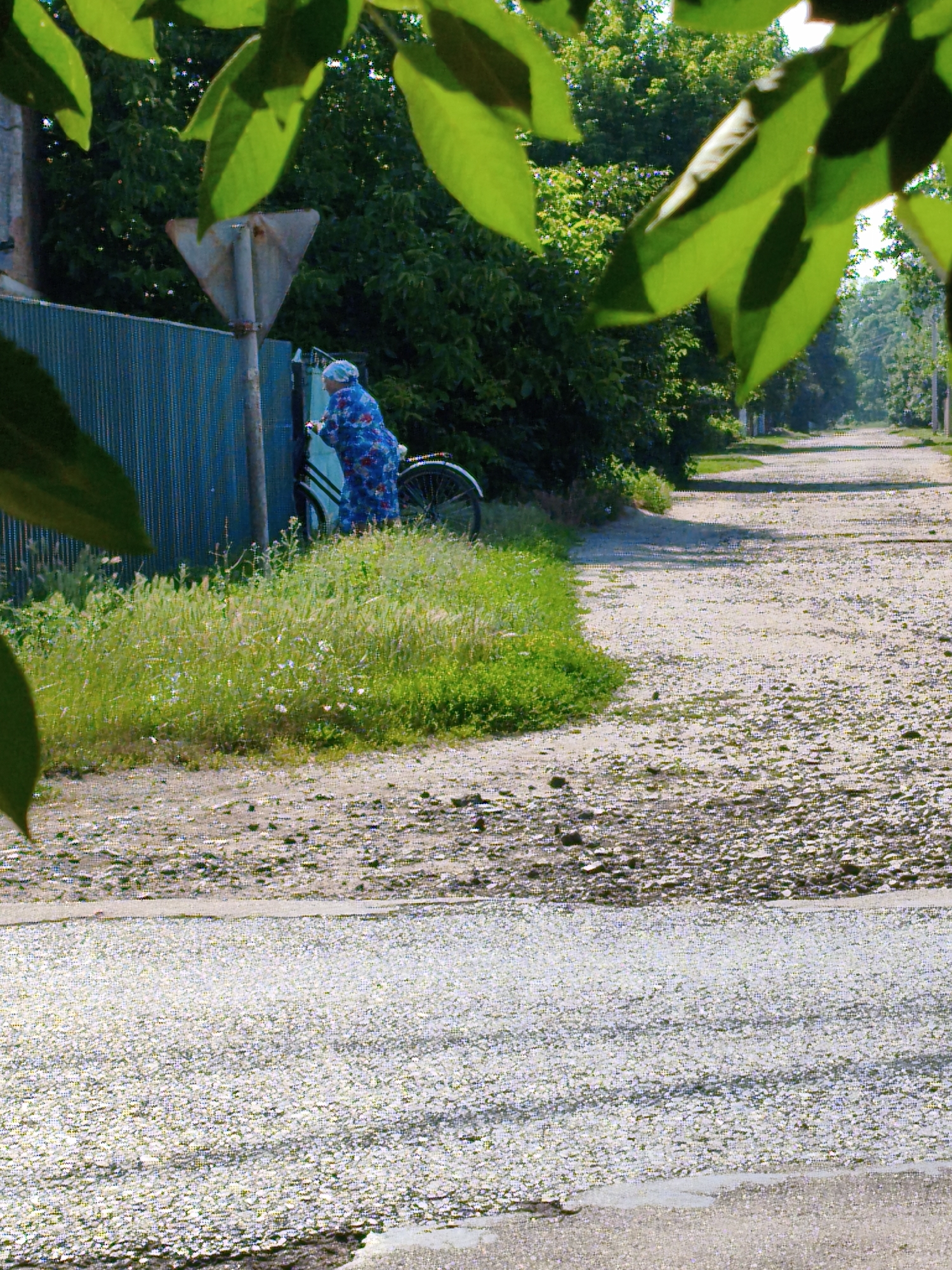 Quiet morning street life in rural Ustyvytsia, Ukraine