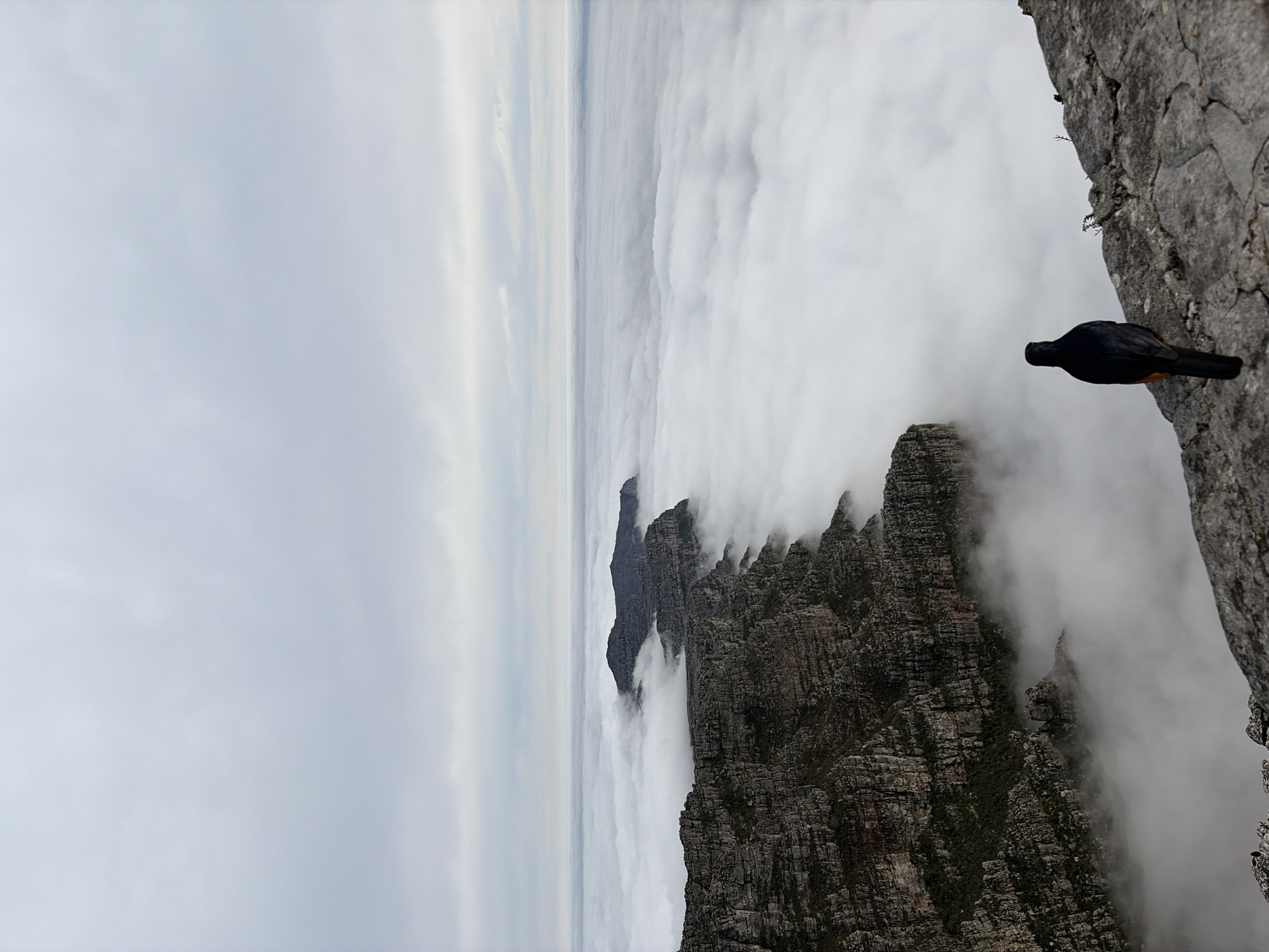 Dense fog blankets Cape Town valley viewed from Table Mountain