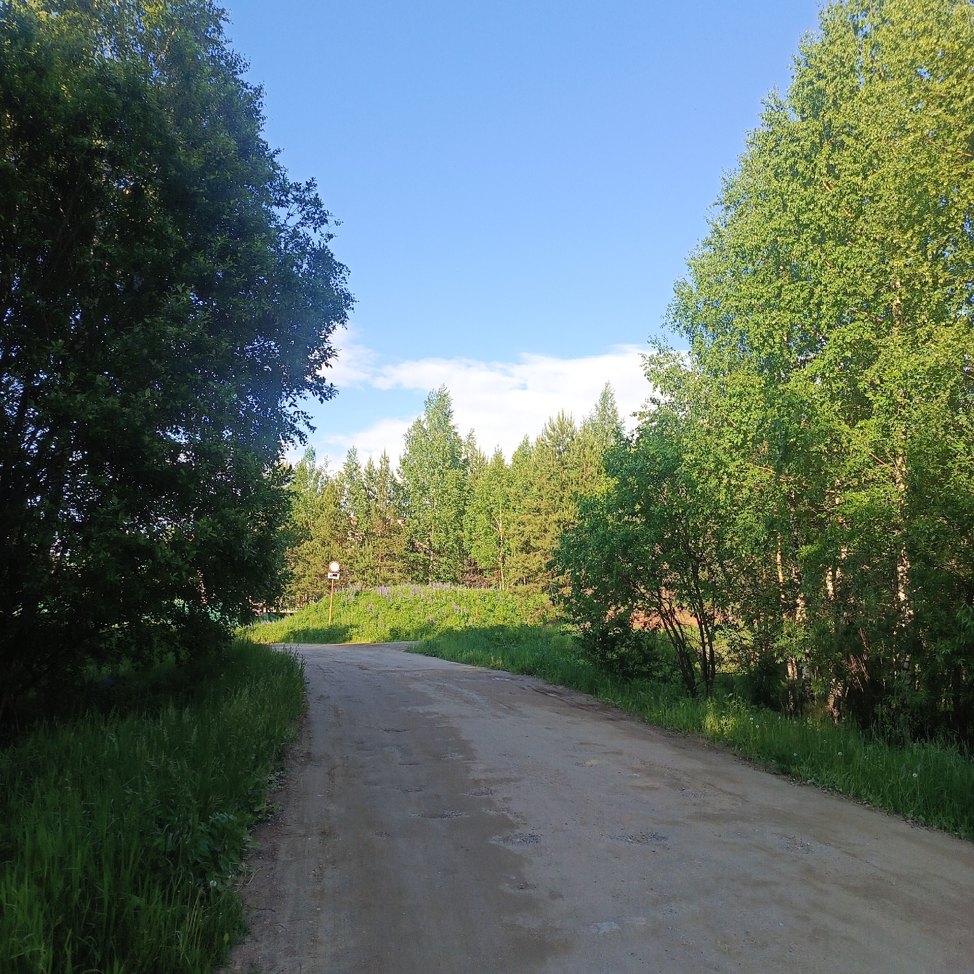 Rural dirt road captured in sunny Марковский countryside