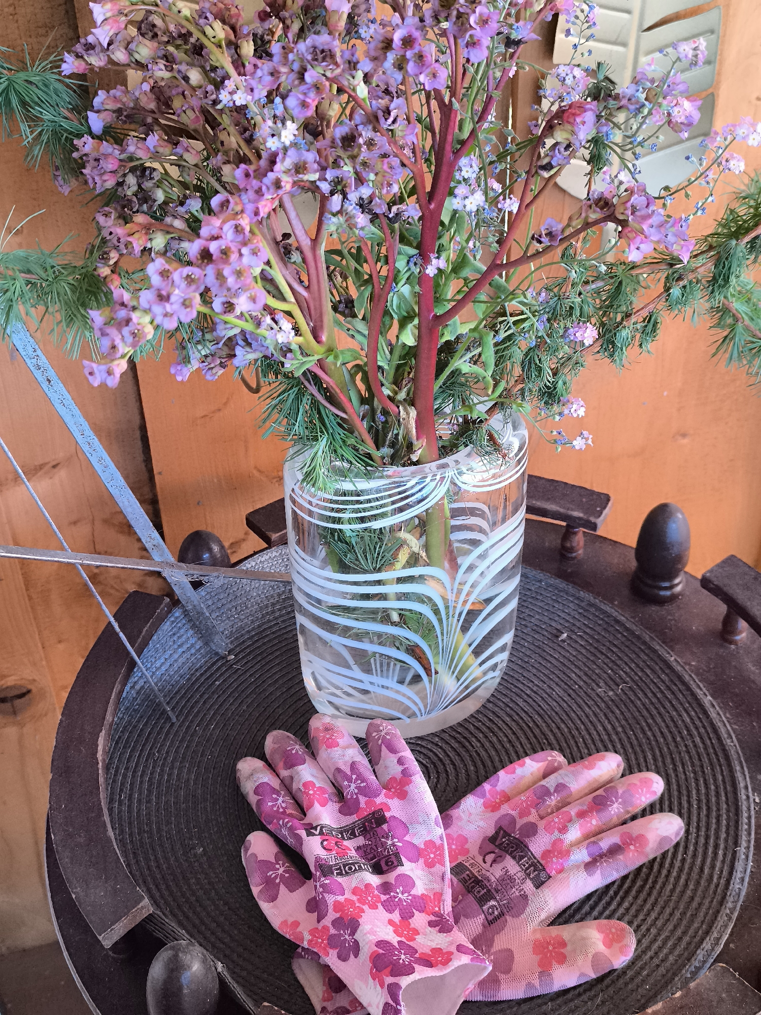 Domestic garden scenes with flowers, pets, cooking documented Thursday afternoon