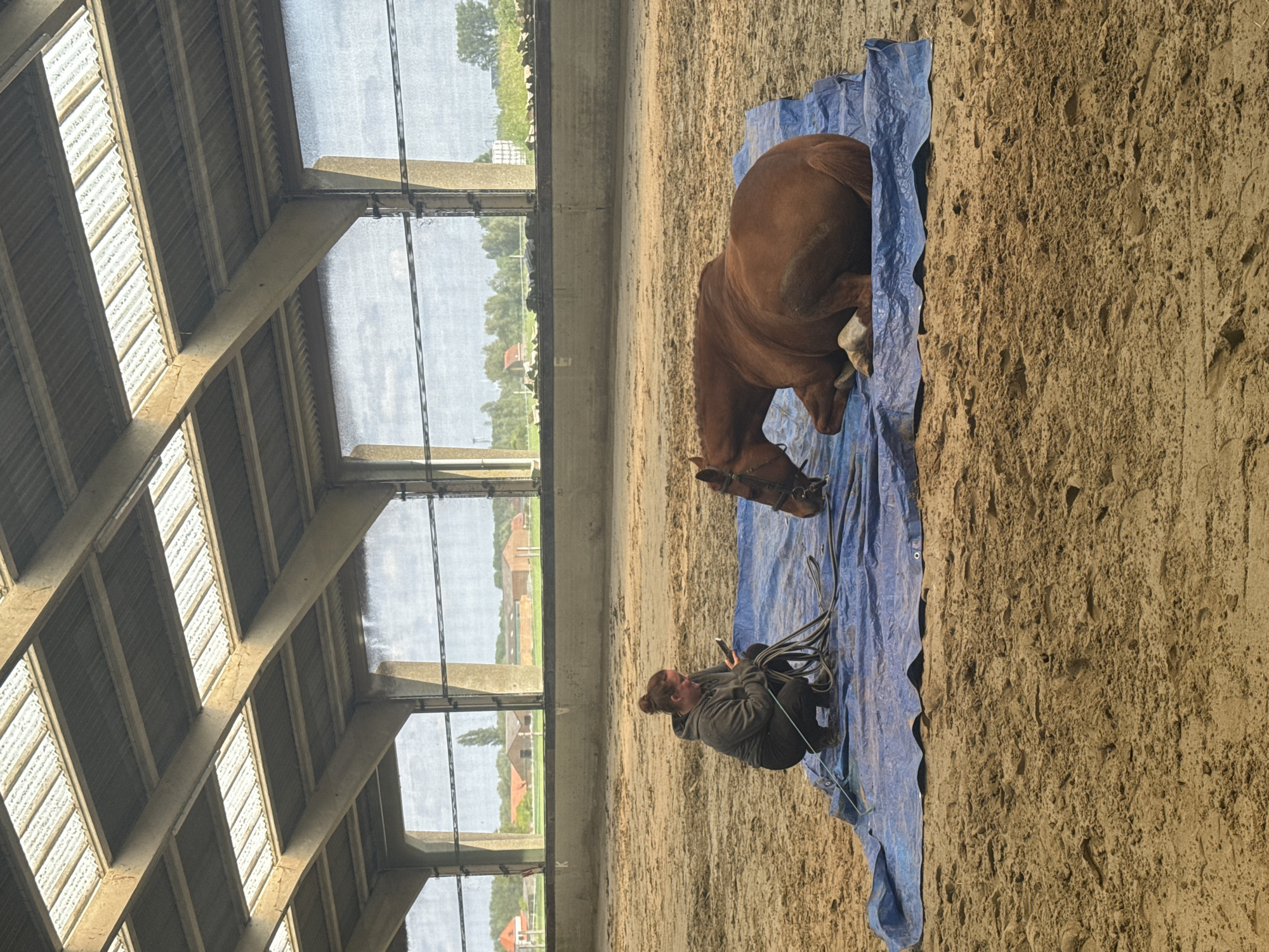 Woman tends to resting horse in Belgian riding arena