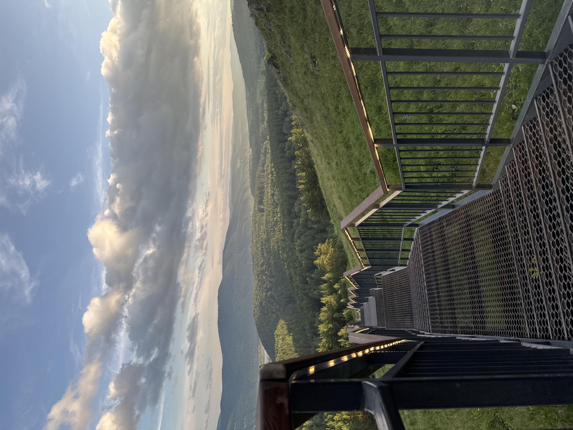 Metal staircase drops into forested valley near Krasnoyarsk