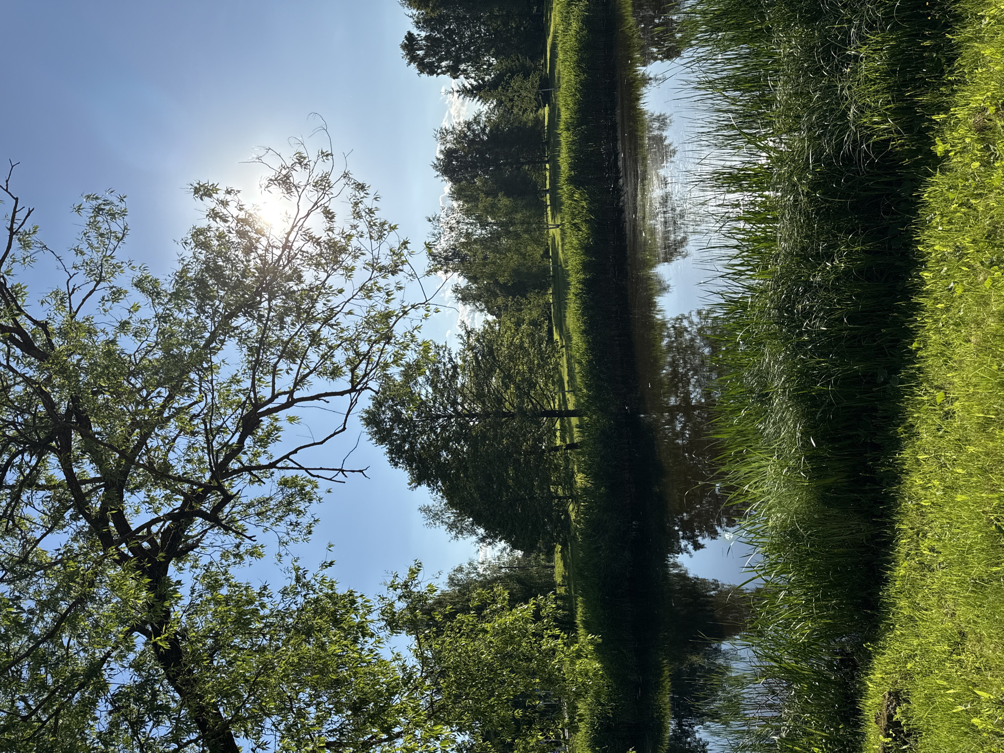 Leisurely park visit documented in Biržai, Lithuania
