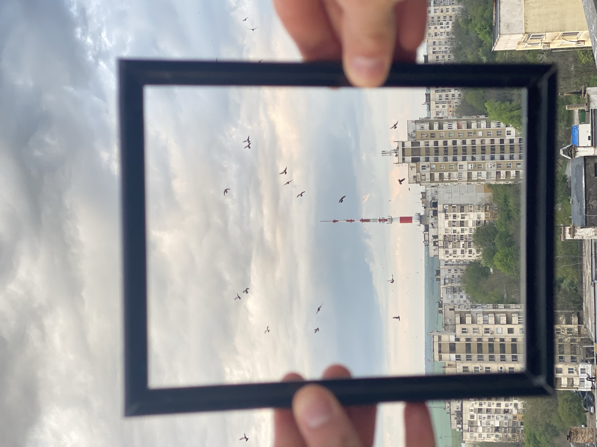 Person frames birds in flight through handheld viewfinder in Bulgaria