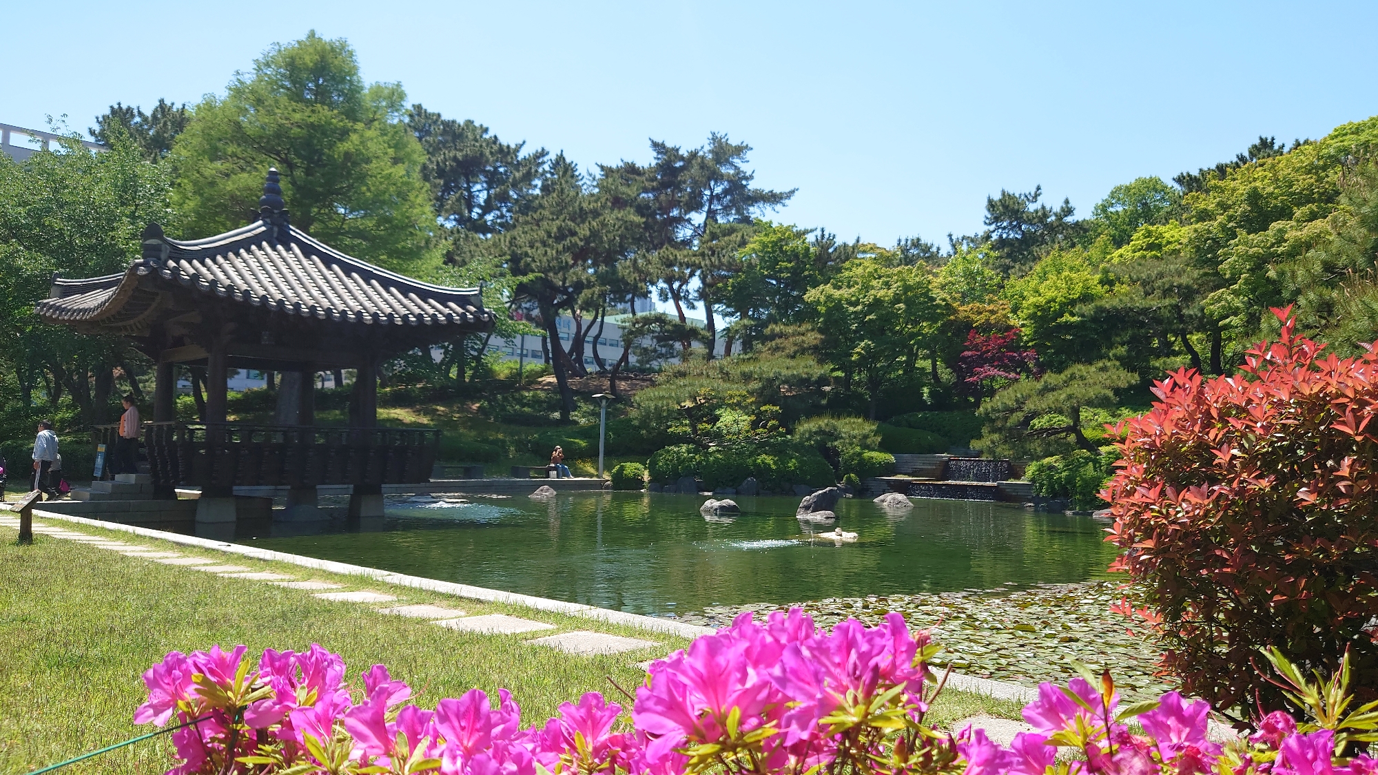 Morning documentation of Ulsan parks and landmarks captured