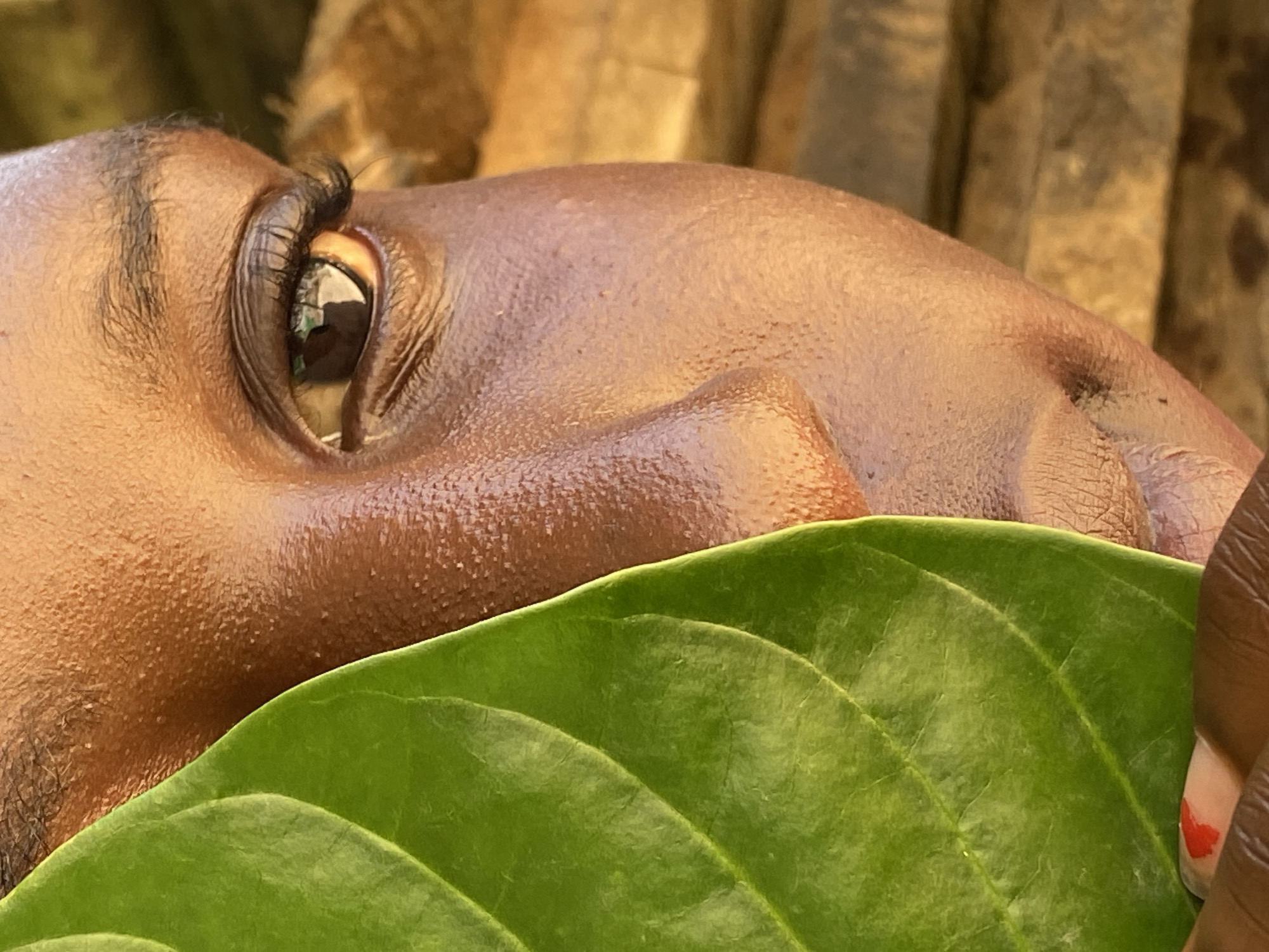 Woman poses with green leaf in artistic photos across Nigeria