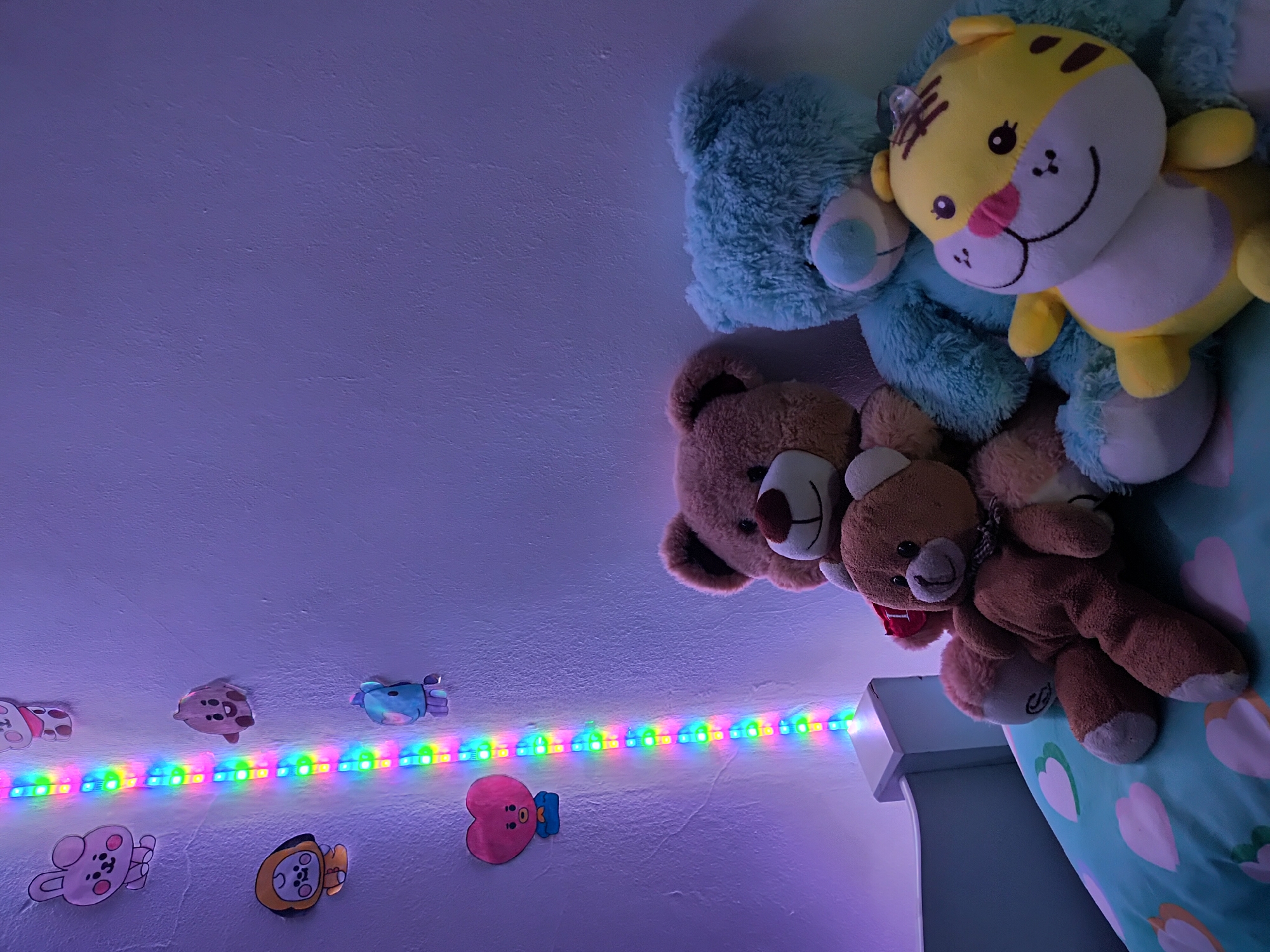 Quiet domestic moments documented across Curitiba home