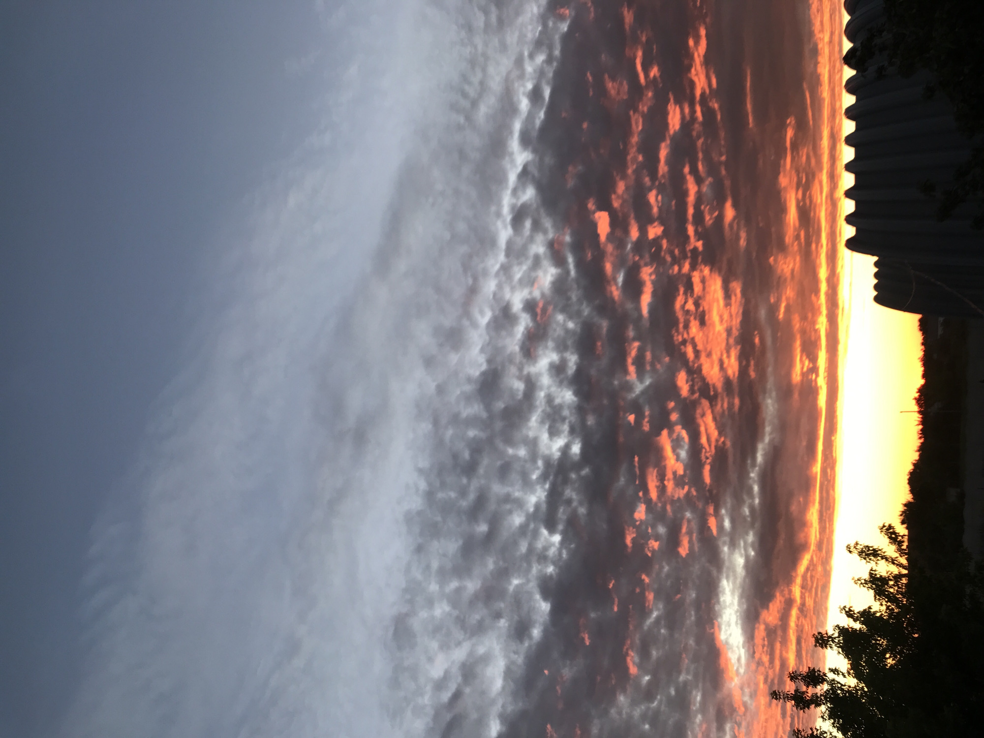 Sunset over rural Kyselivka fields with resting dog