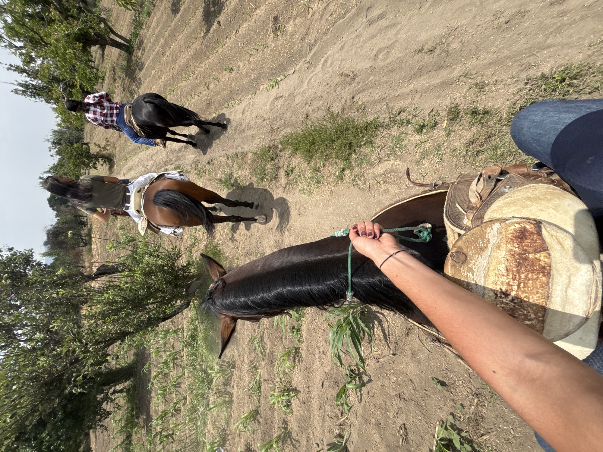 Horseback riders traverse rural dirt path in Mexican farmland