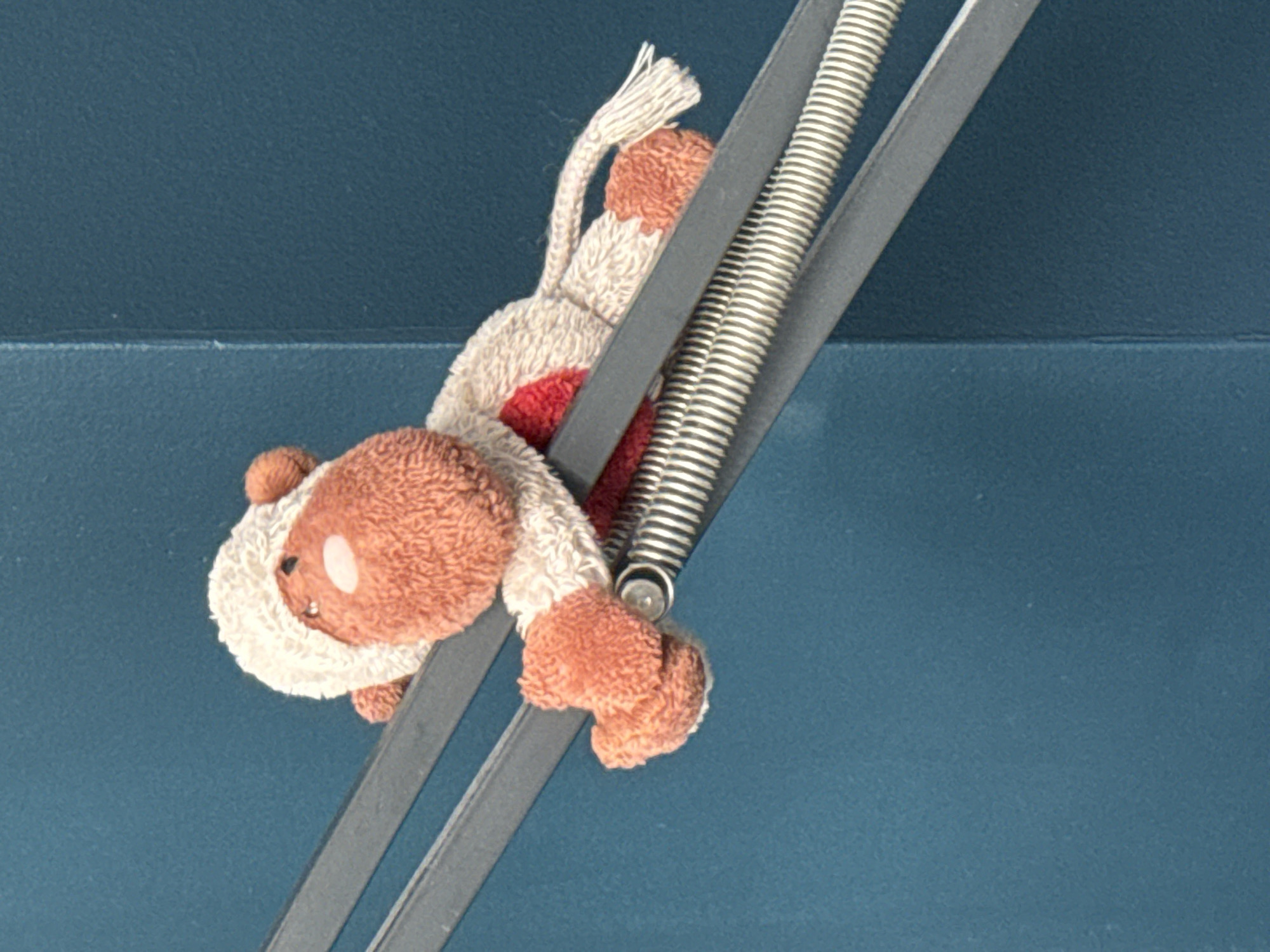 Indoor scenes captured: stuffed toy in lamp, contrasting walls