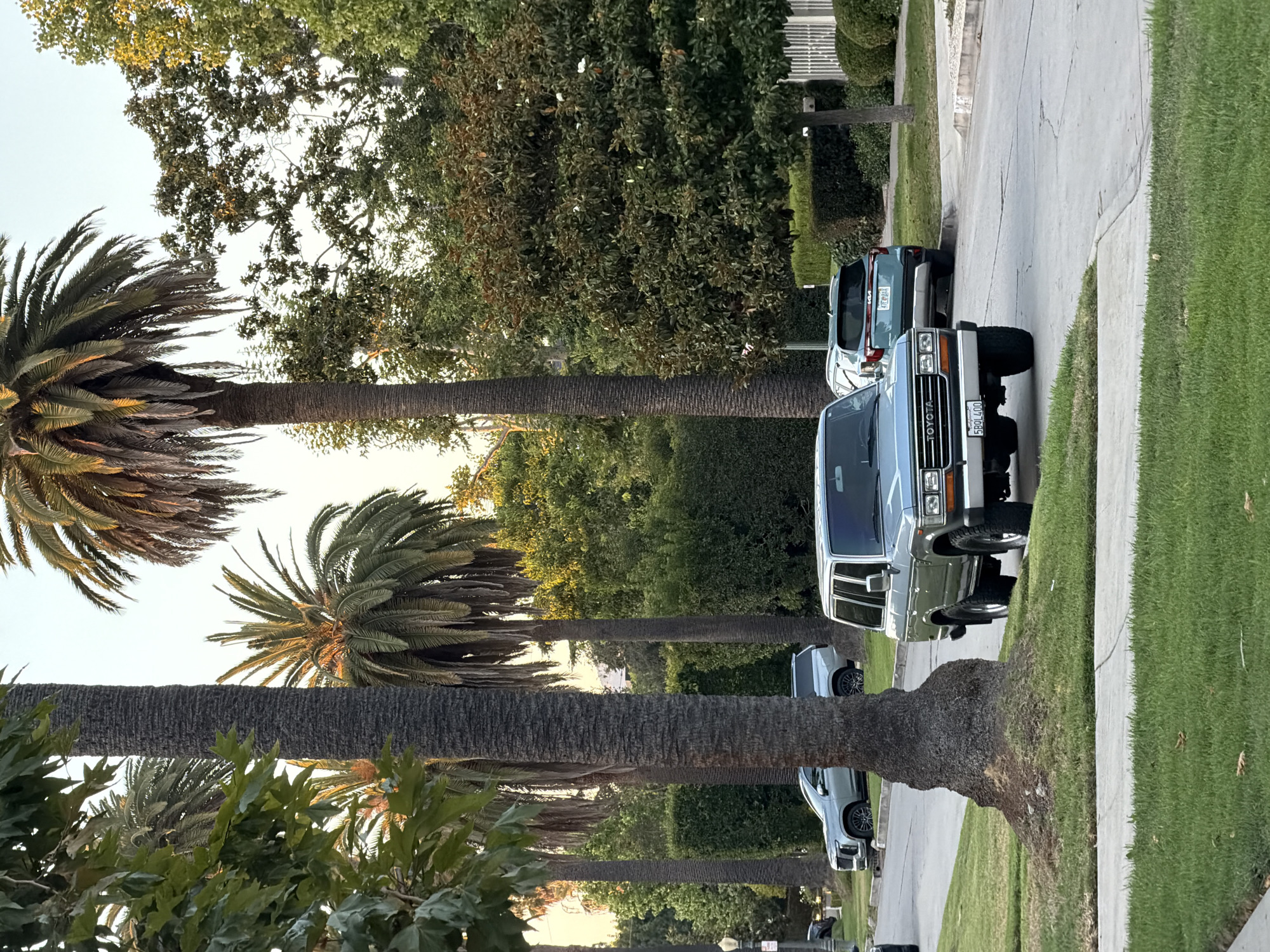 Late-night stroll through a quiet LA residential neighborhood