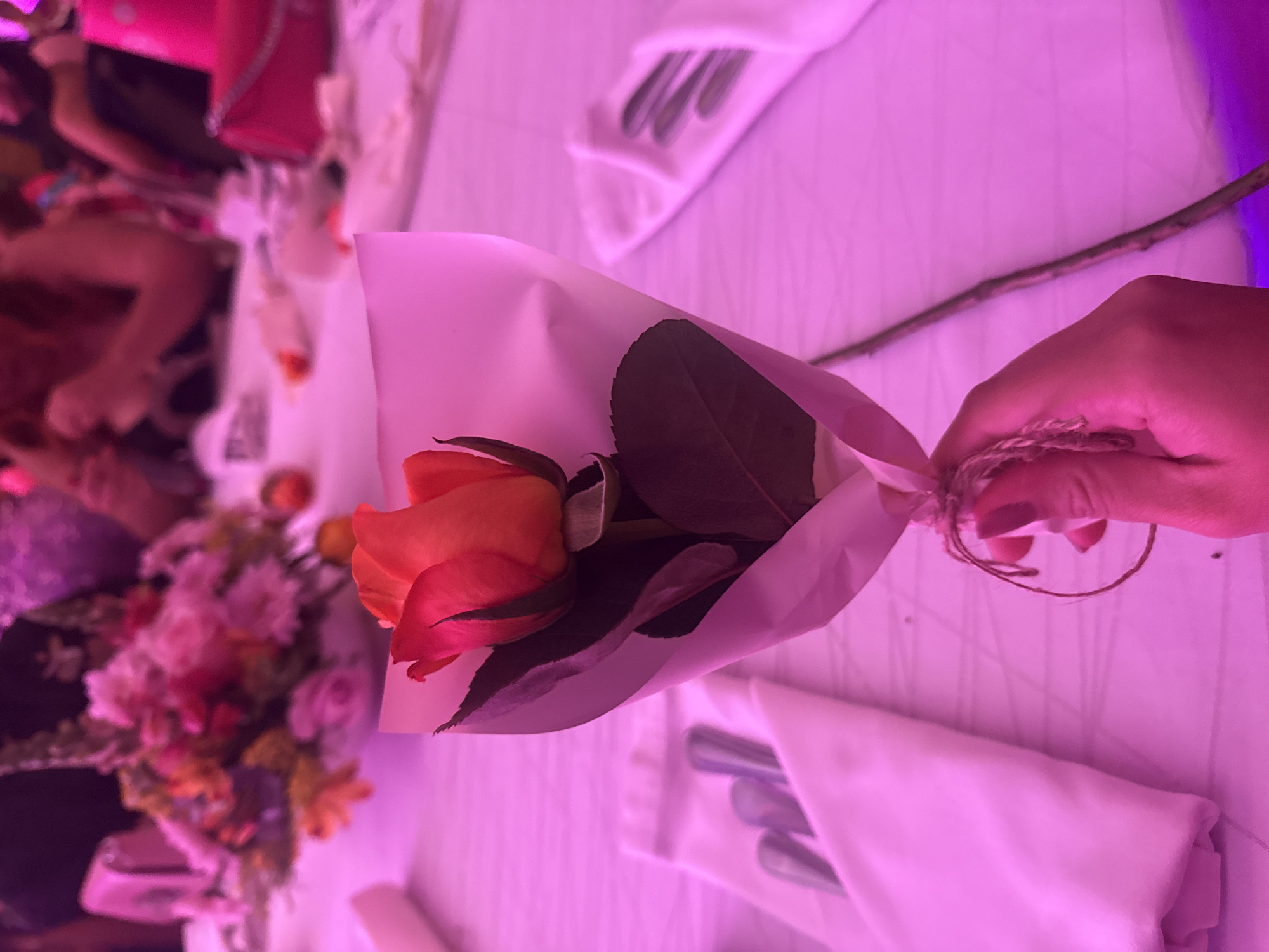 Pink pamphlets and heel-shaped object photographed in Mexico City