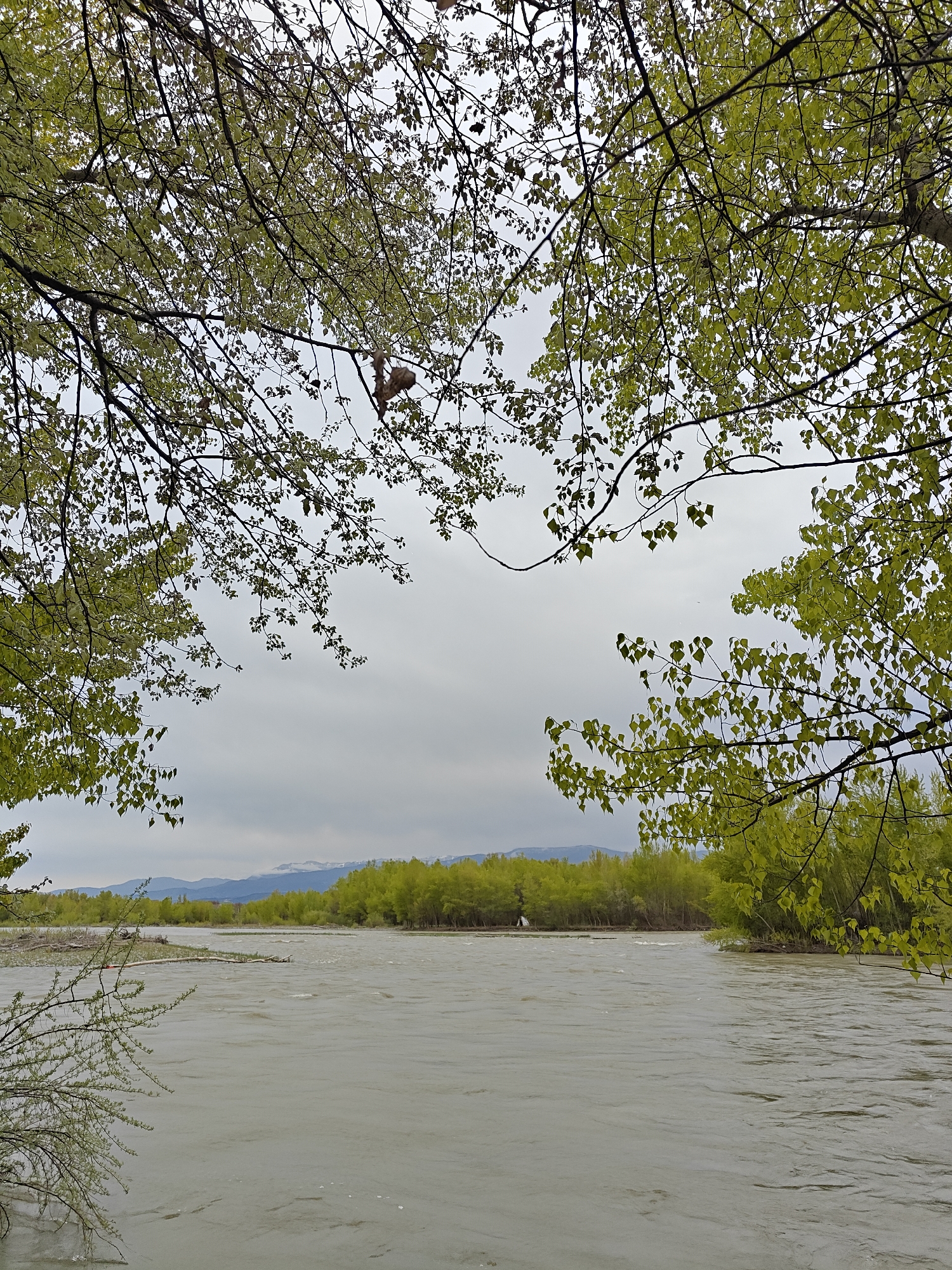 Man documents muddy river conditions in Kvakhvreli, Georgia