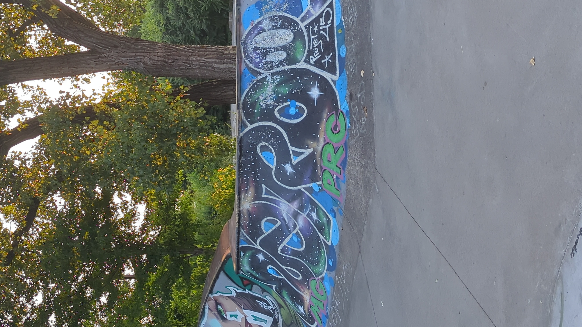 Montreal skatepark graffiti and surrounding park on a July evening