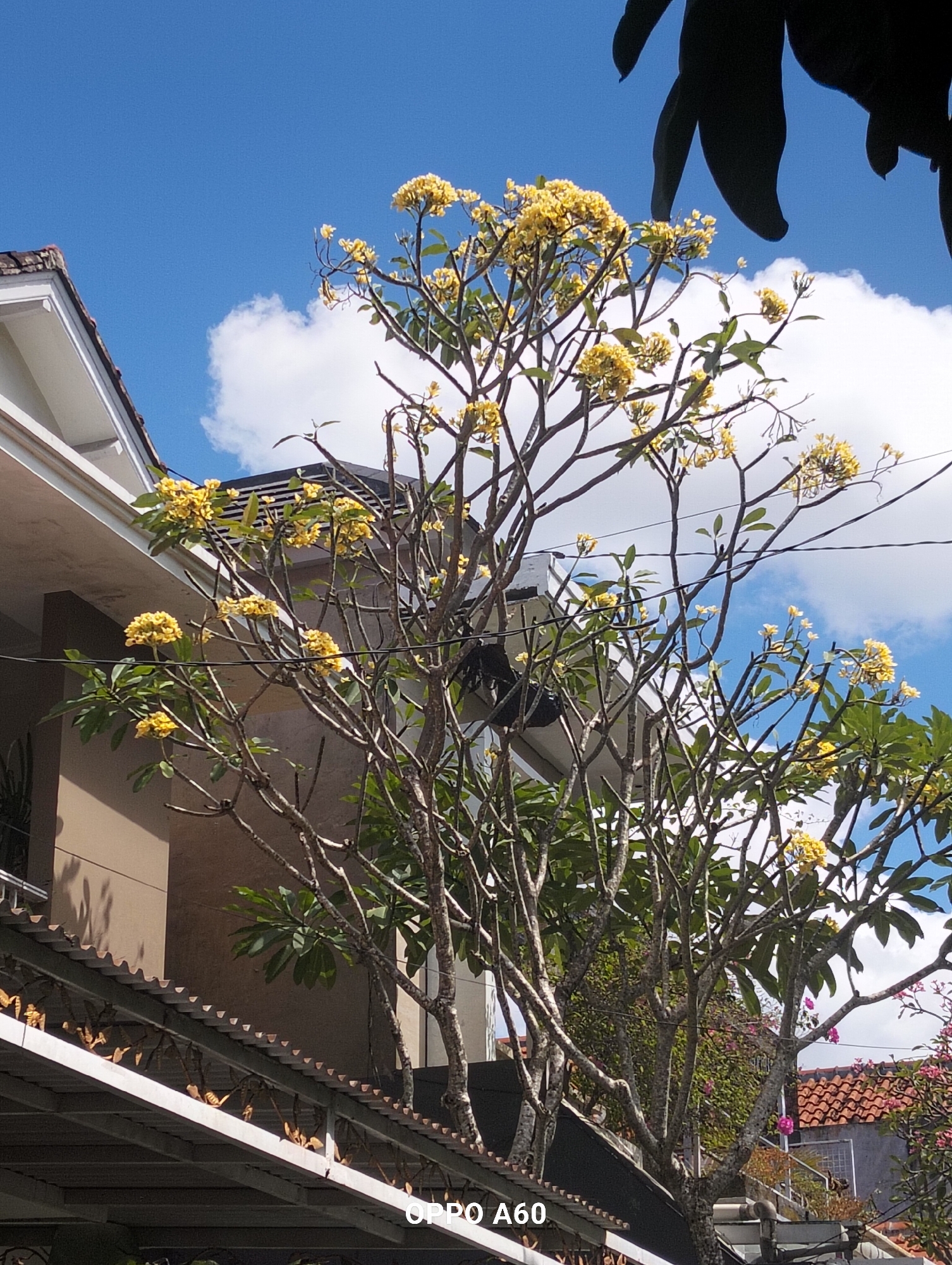 Inside and around a North Kuta guesthouse, Bali