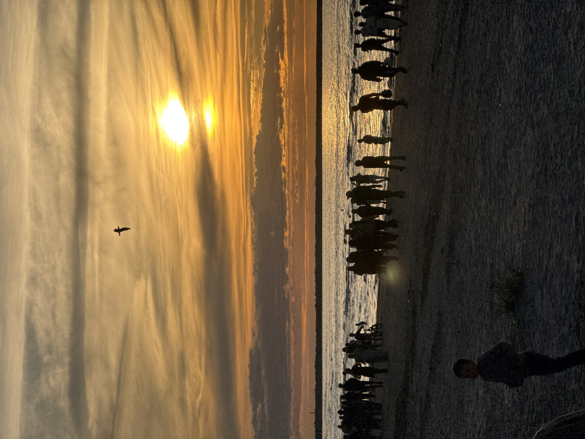 Wedding gathering on a Jūrmala beach at sunset