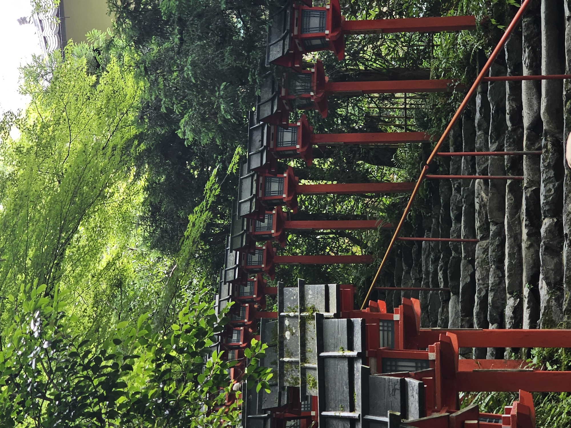 Early morning tranquil scenes captured in Kyoto gardens