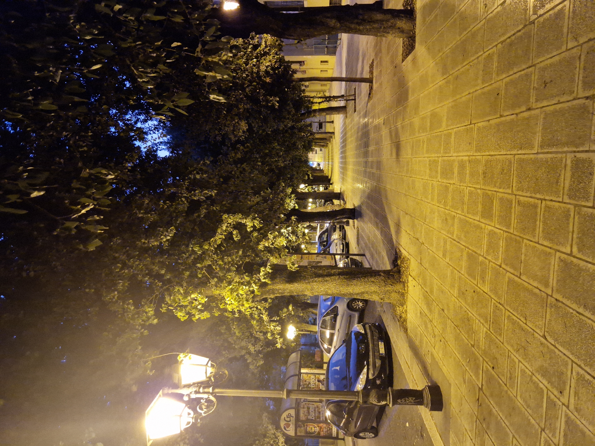 Hibiscus and night streets in Taranto, Italy