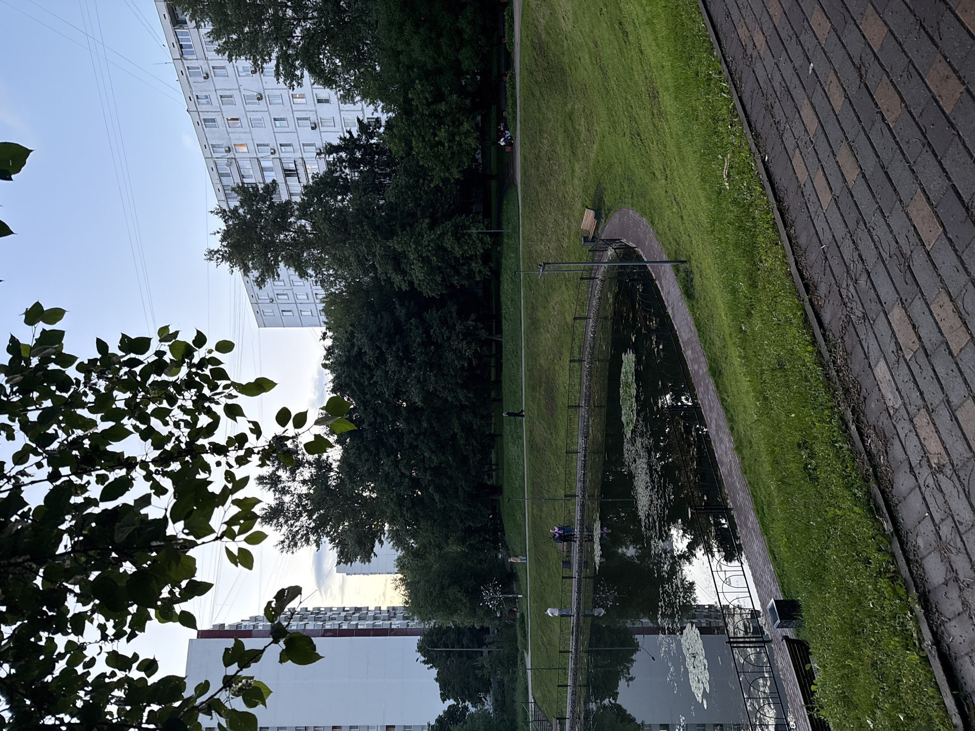 Evening stroll by a lily pad pond in Moscow