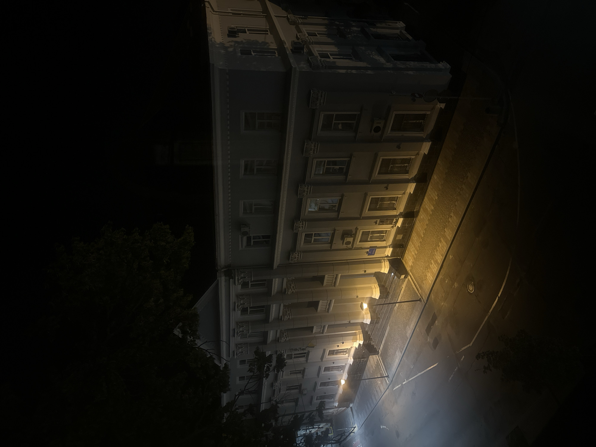Ternopil landmarks lit up at night, cat resting nearby