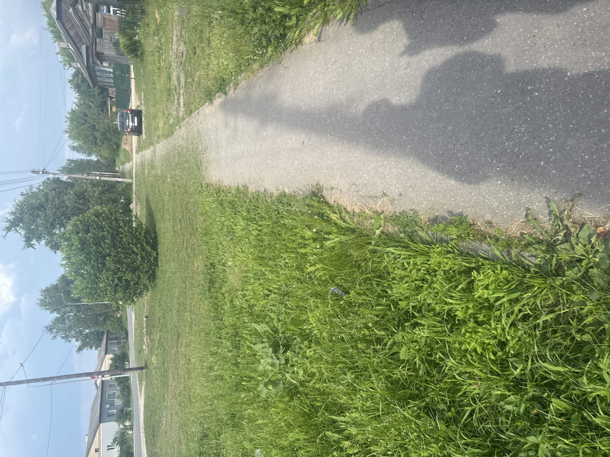Walking tour of sidewalks and pathways in Krasnye Baki village