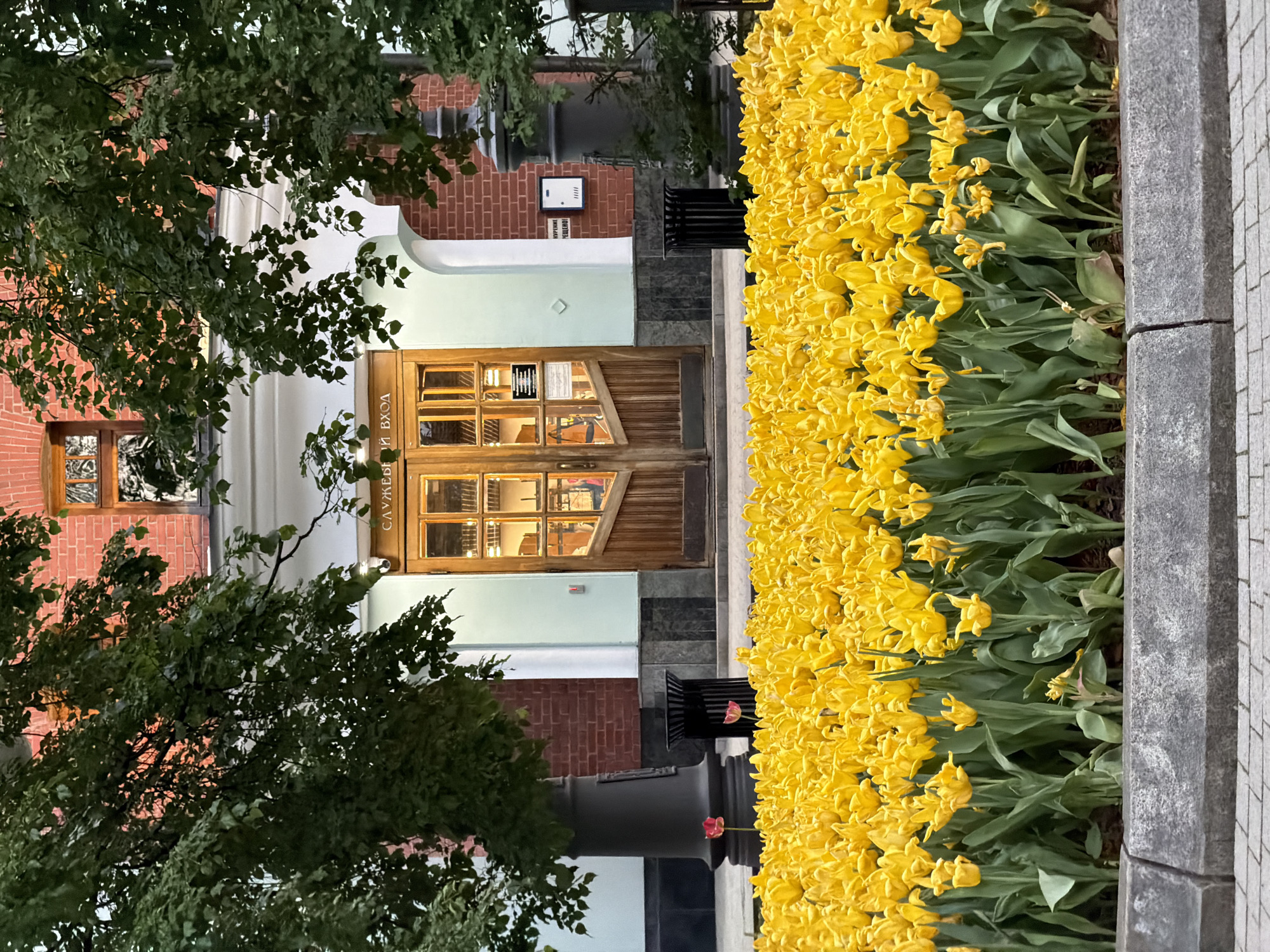 Spring tulips and distinctive architecture documented in central Moscow