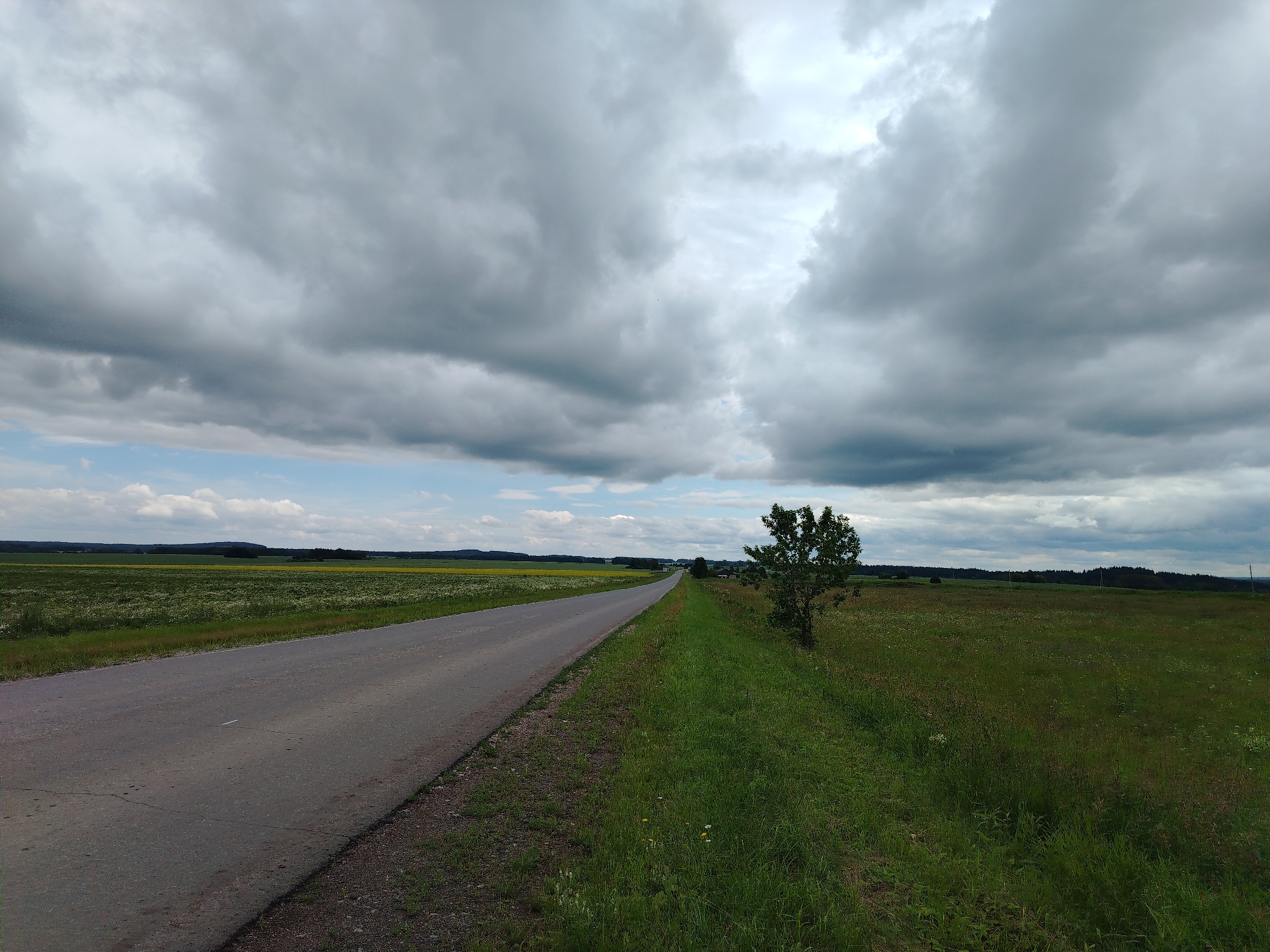Cloudy day over open fields, wildflowers, and rural roads