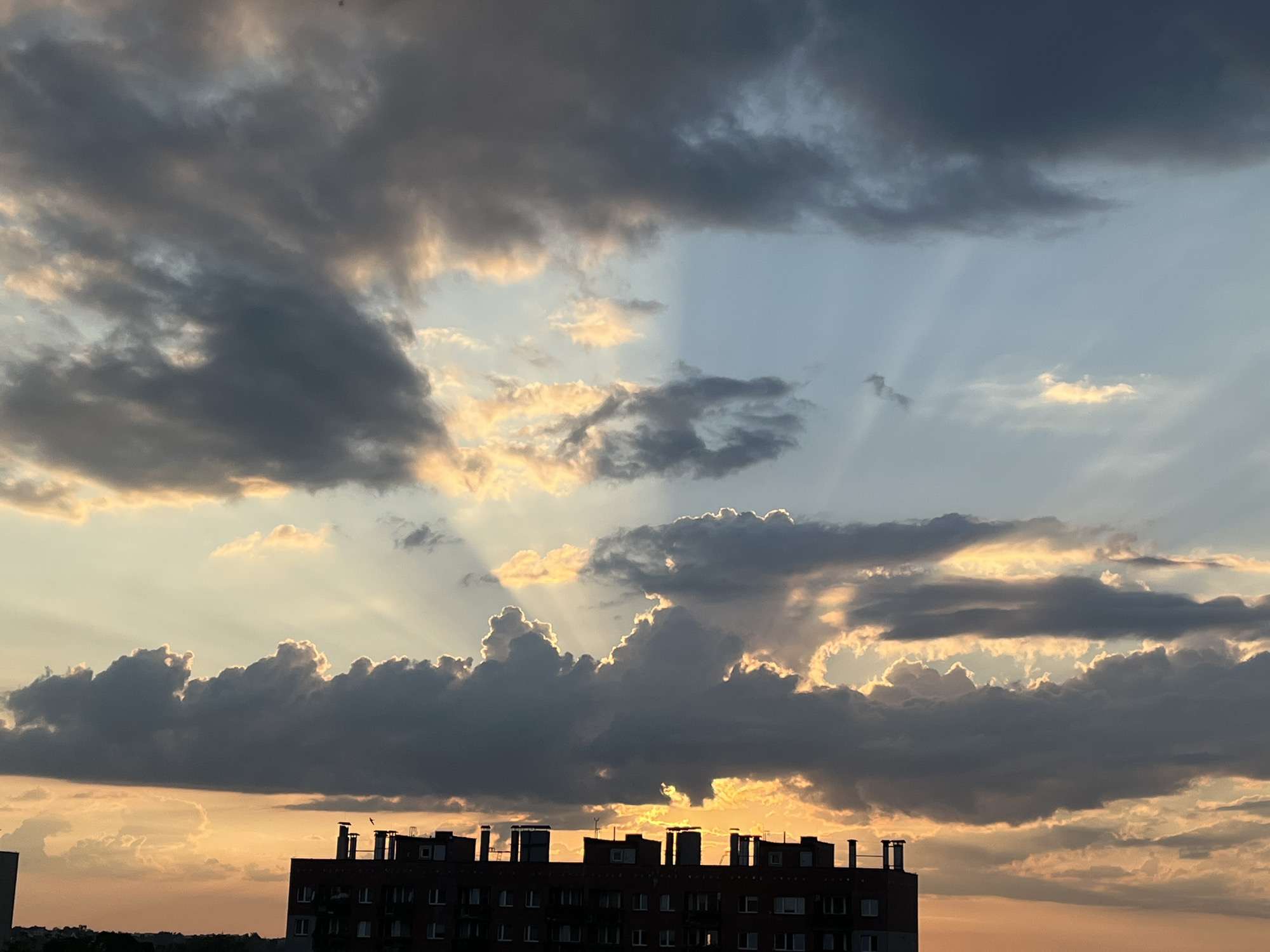 City sunset watched closely, with a snail intermission