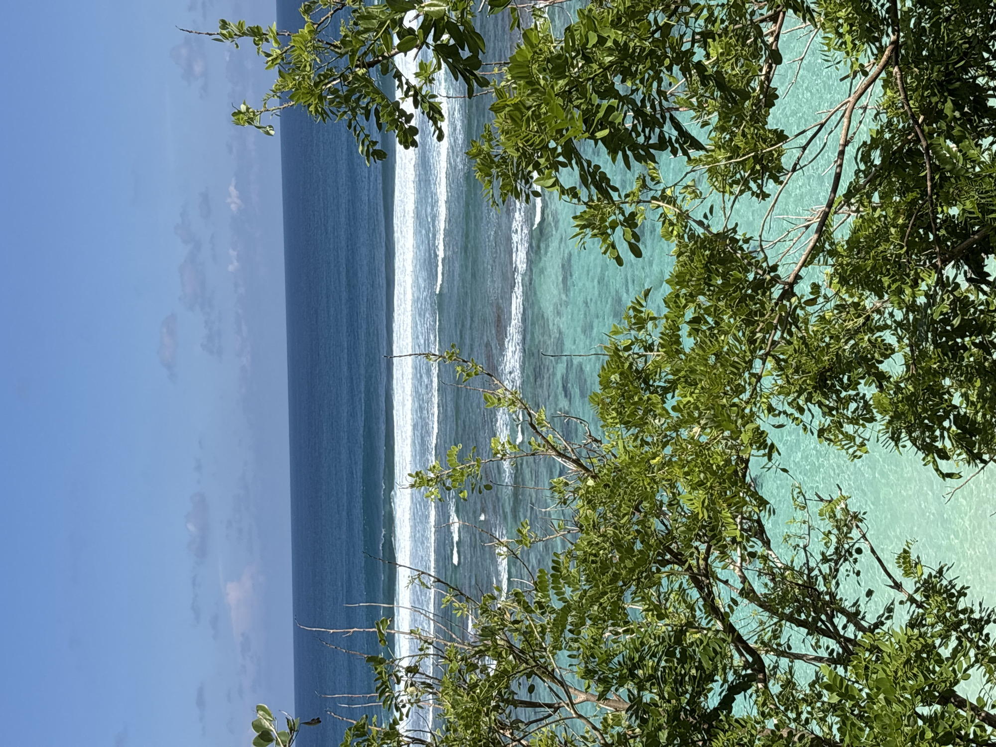 Coastal scenes and monkey encounters documented in Ungasan Indonesia