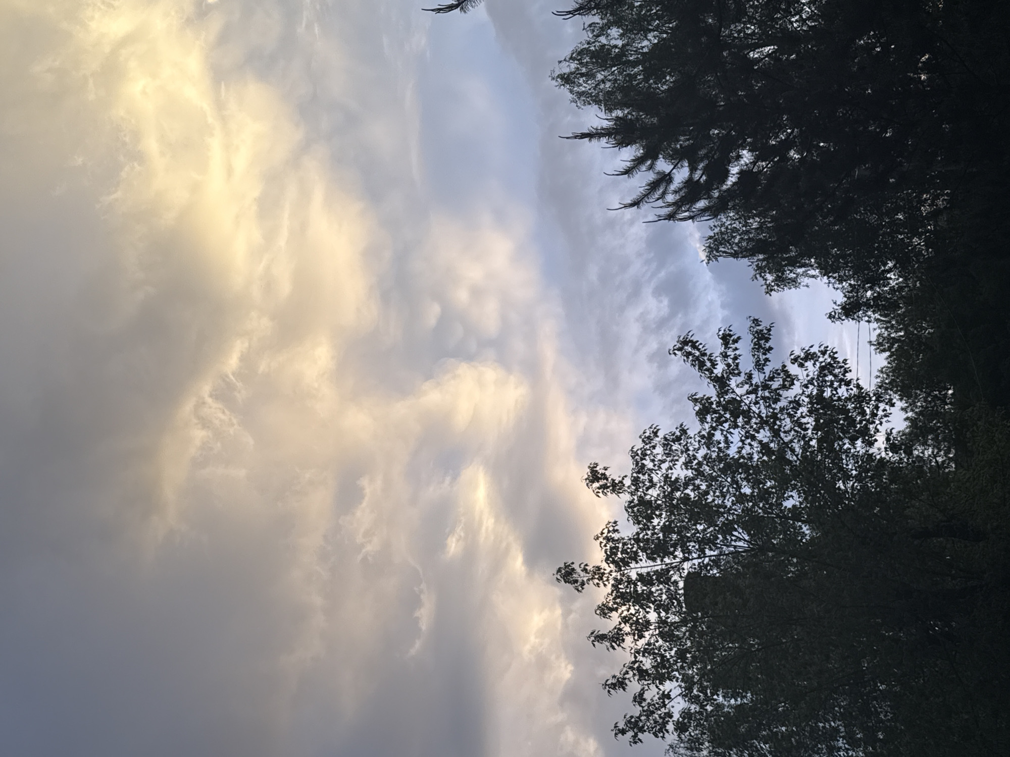 Everyday life moments captured during golden hour in Dmitrov