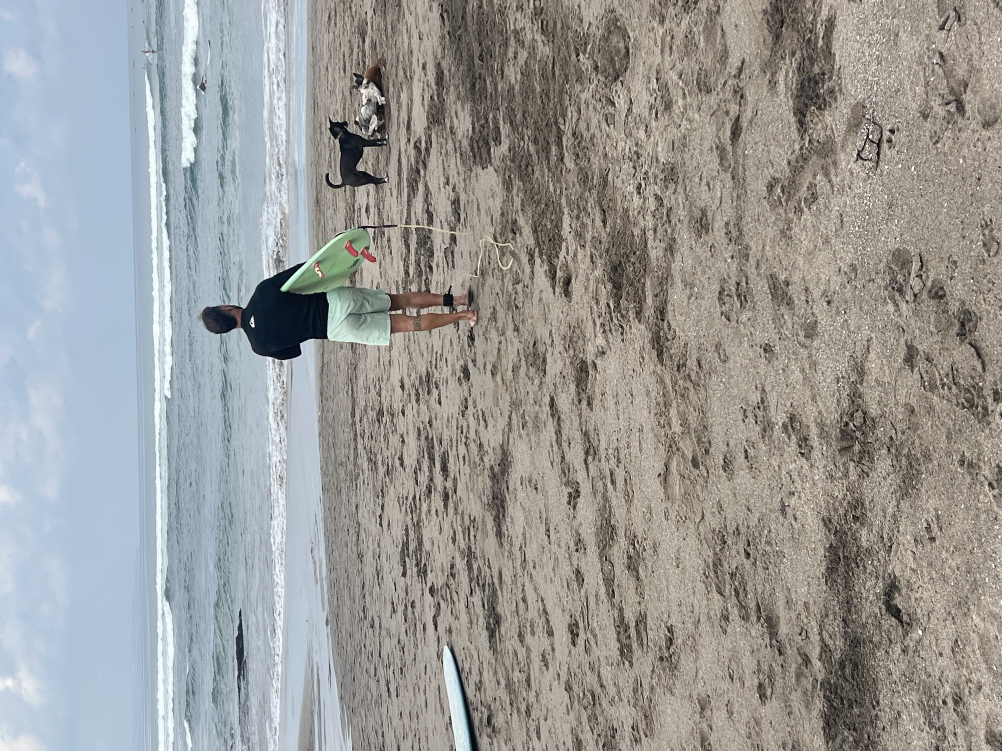 Surfers and dogs on a cloudy morning at Echo Beach, Bali