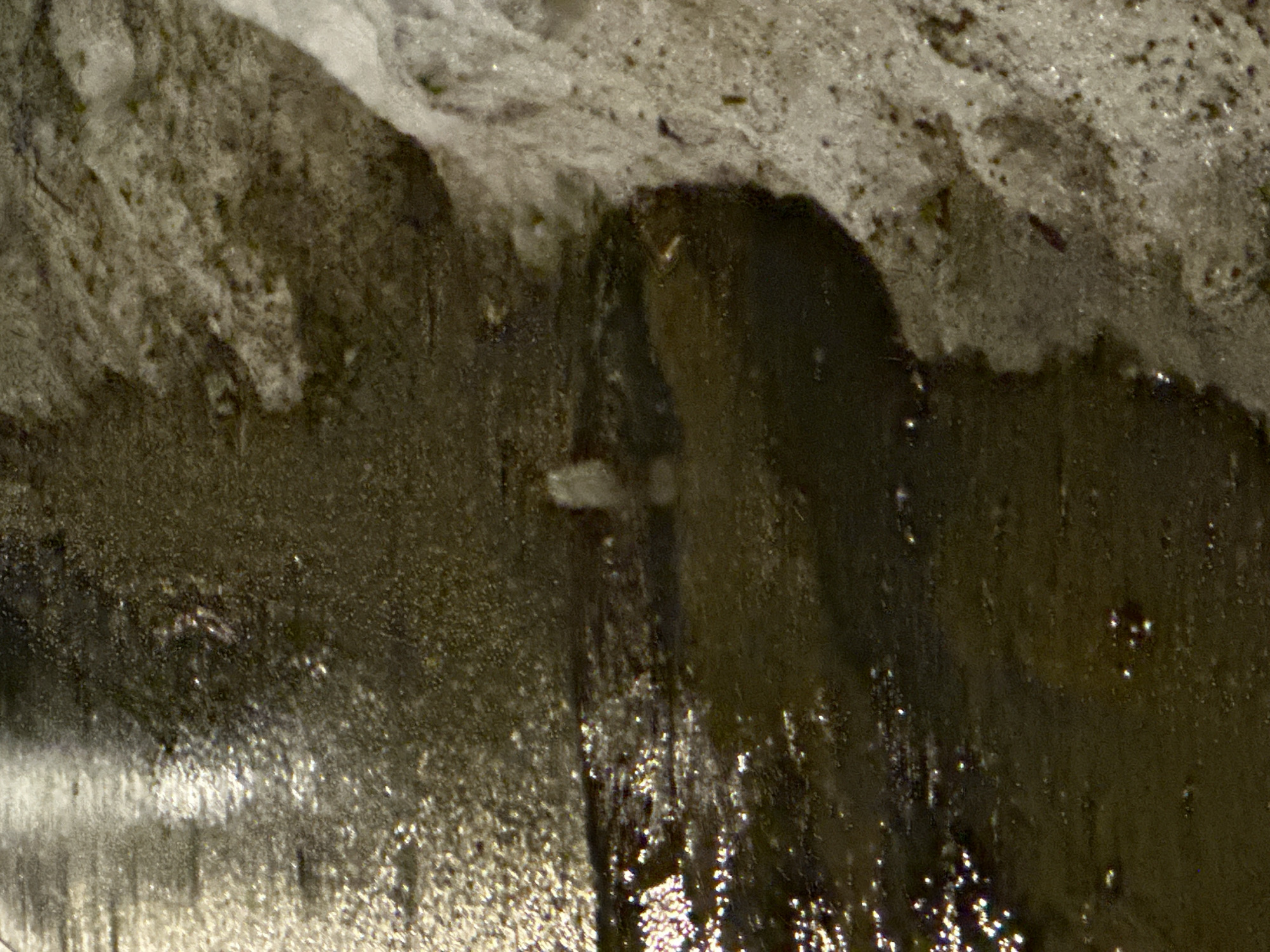 Evening documentation of wet winter streets and infrastructure in Moscow
