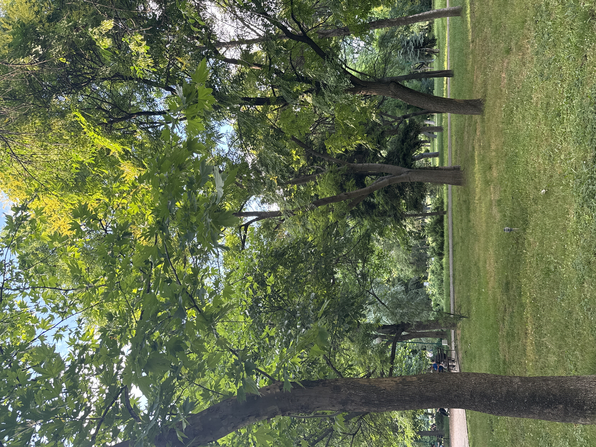 Afternoon park scenes and street life in Plovdiv