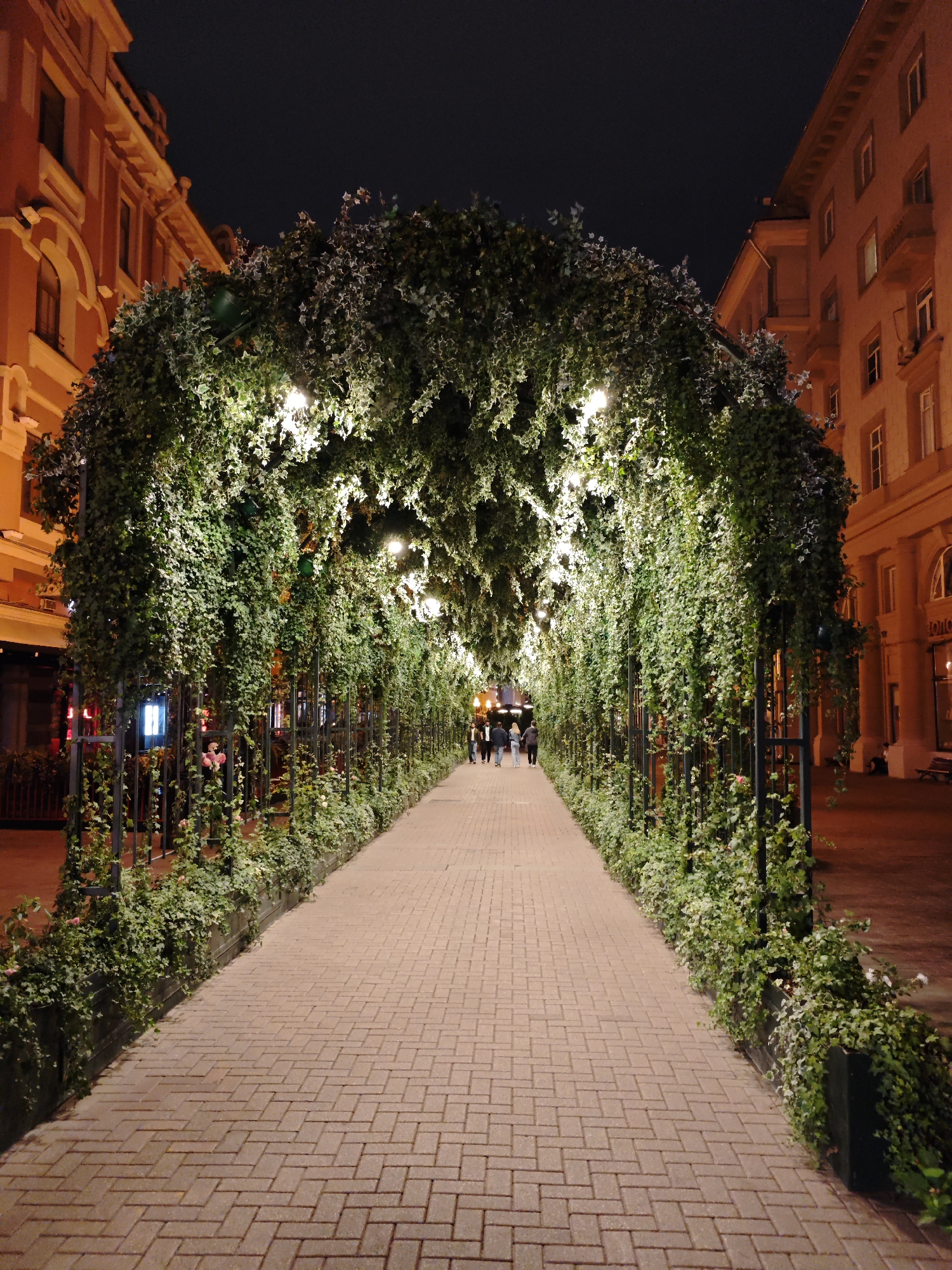 Moscow pedestrian street at night, vine archway and monument