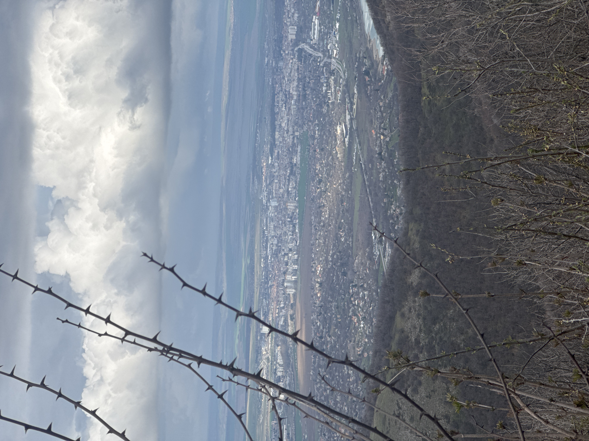 Urban landscape photographed through bare branches in Targovishte, Bulgaria