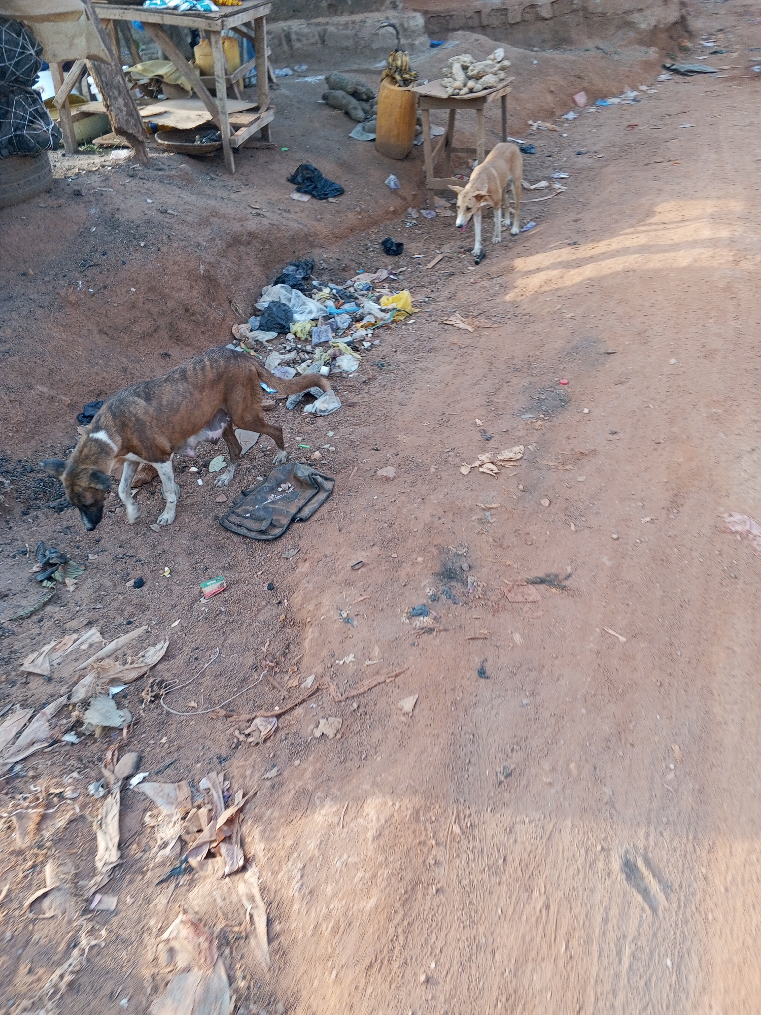 Daily street life documented in Abuja's informal commercial district