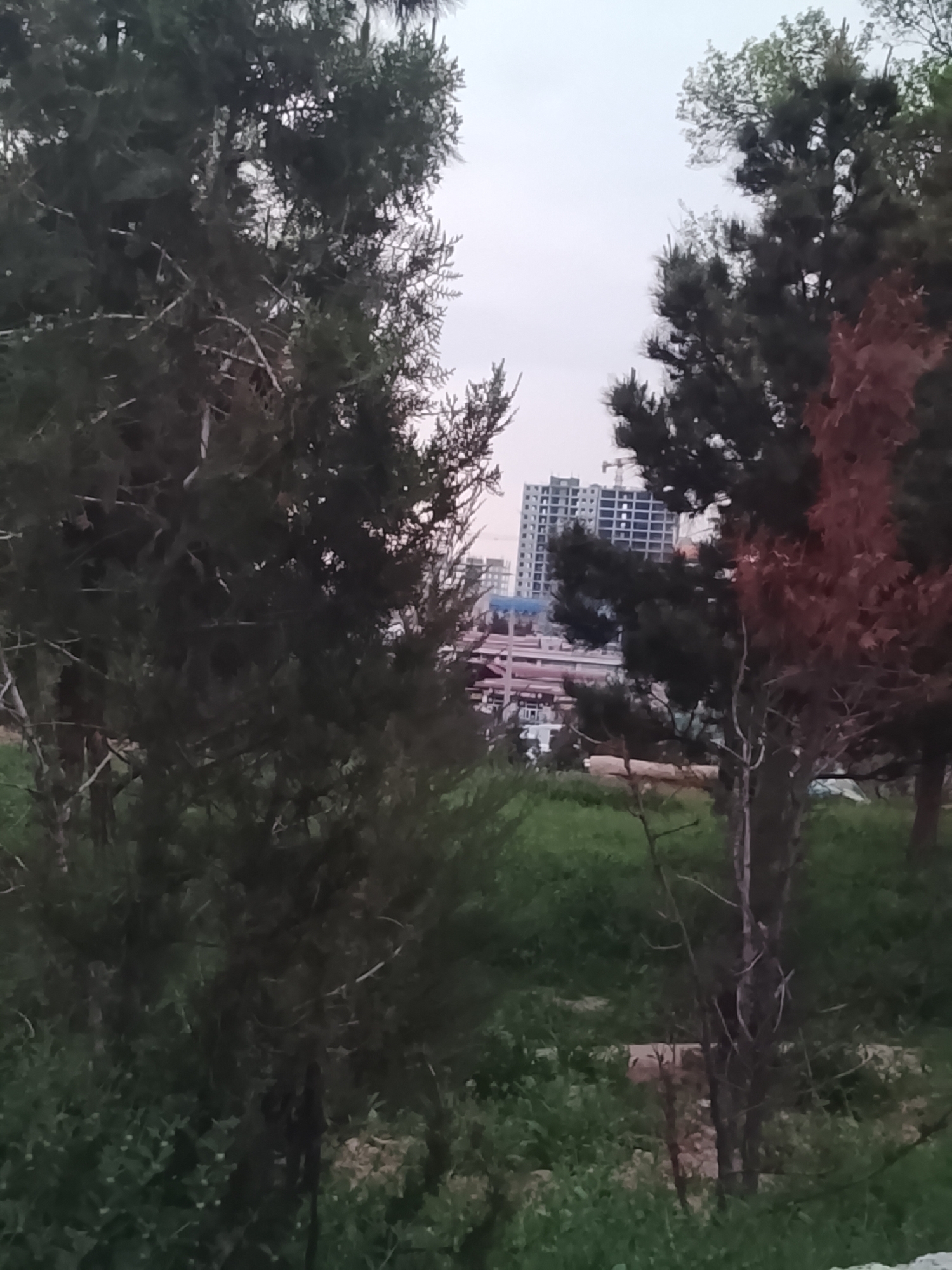 Routine urban observations recorded across Tashkent during afternoon hours
