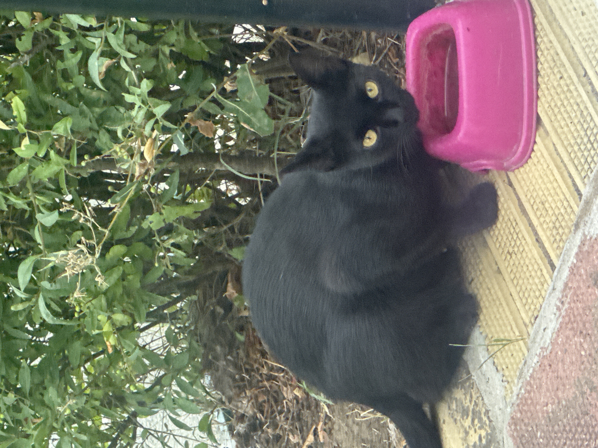 Event
