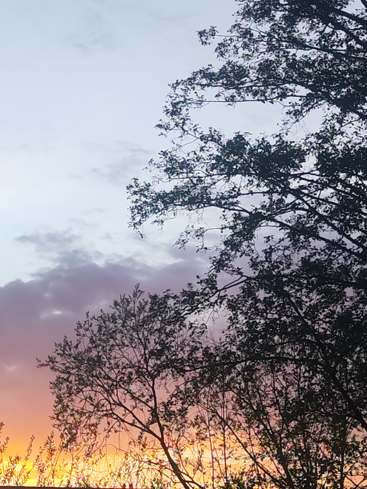 Sunset sequence captured over three minutes in Chaikovsky, Russia