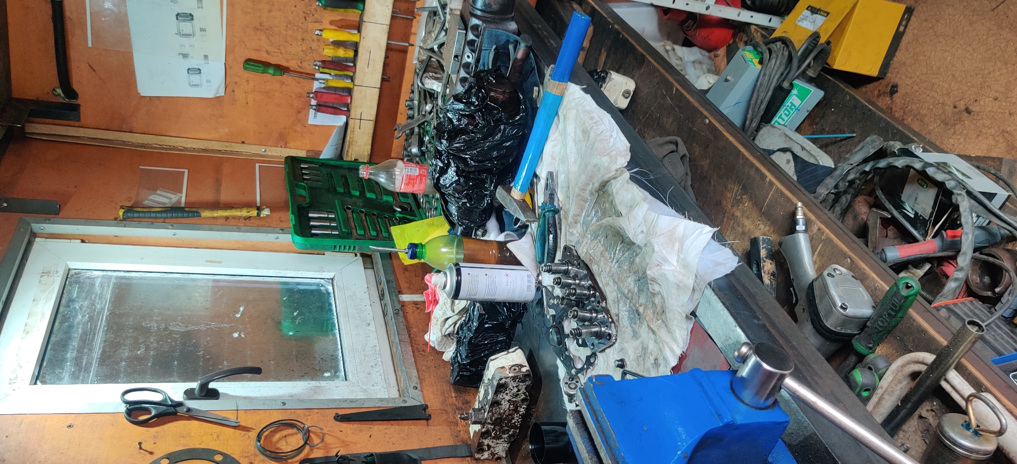 Hedgehog spotted in cluttered workshop near generator machinery
