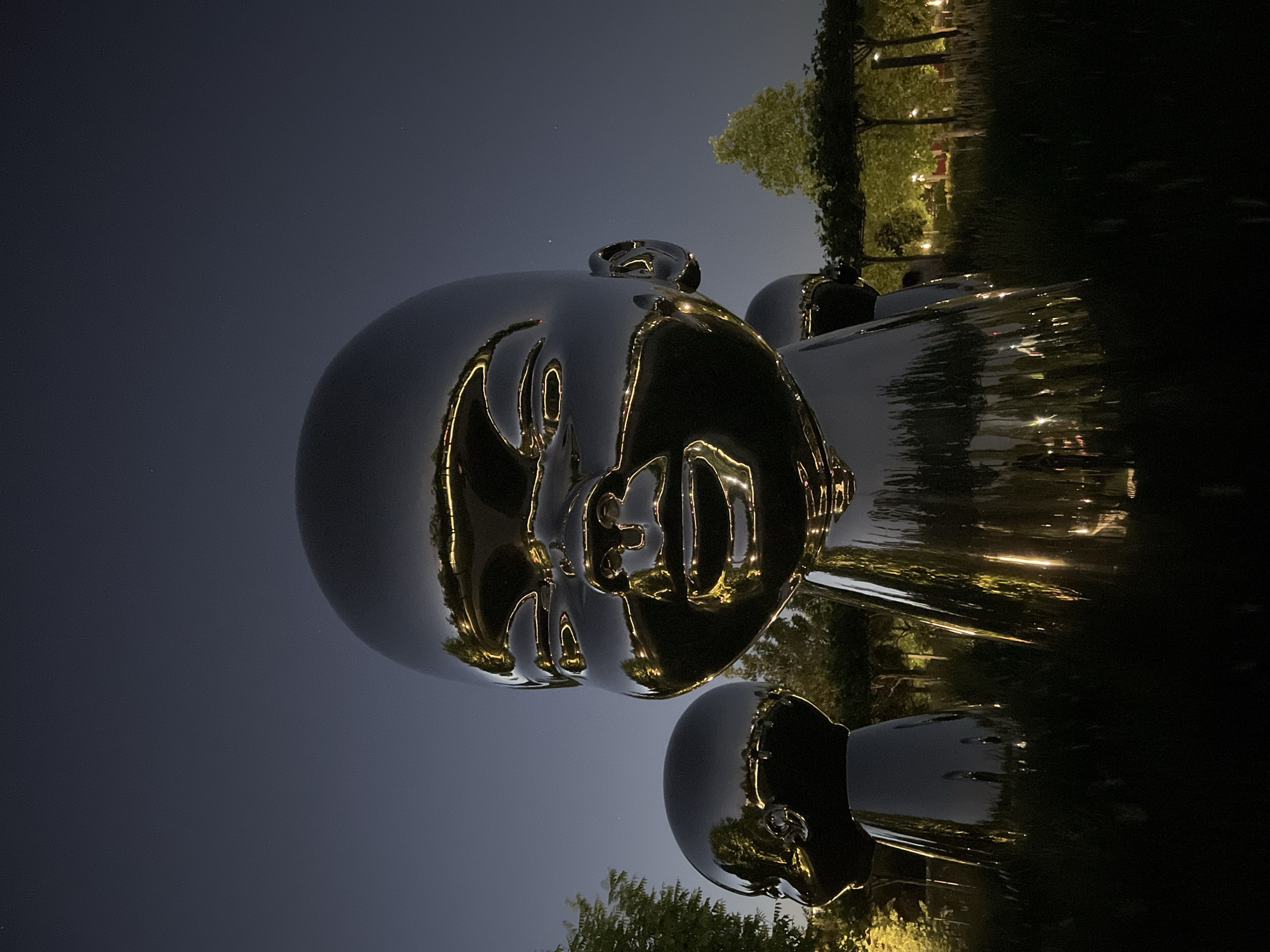 Nighttime Documentation of Reflective Head Sculptures at Krasnodar Park