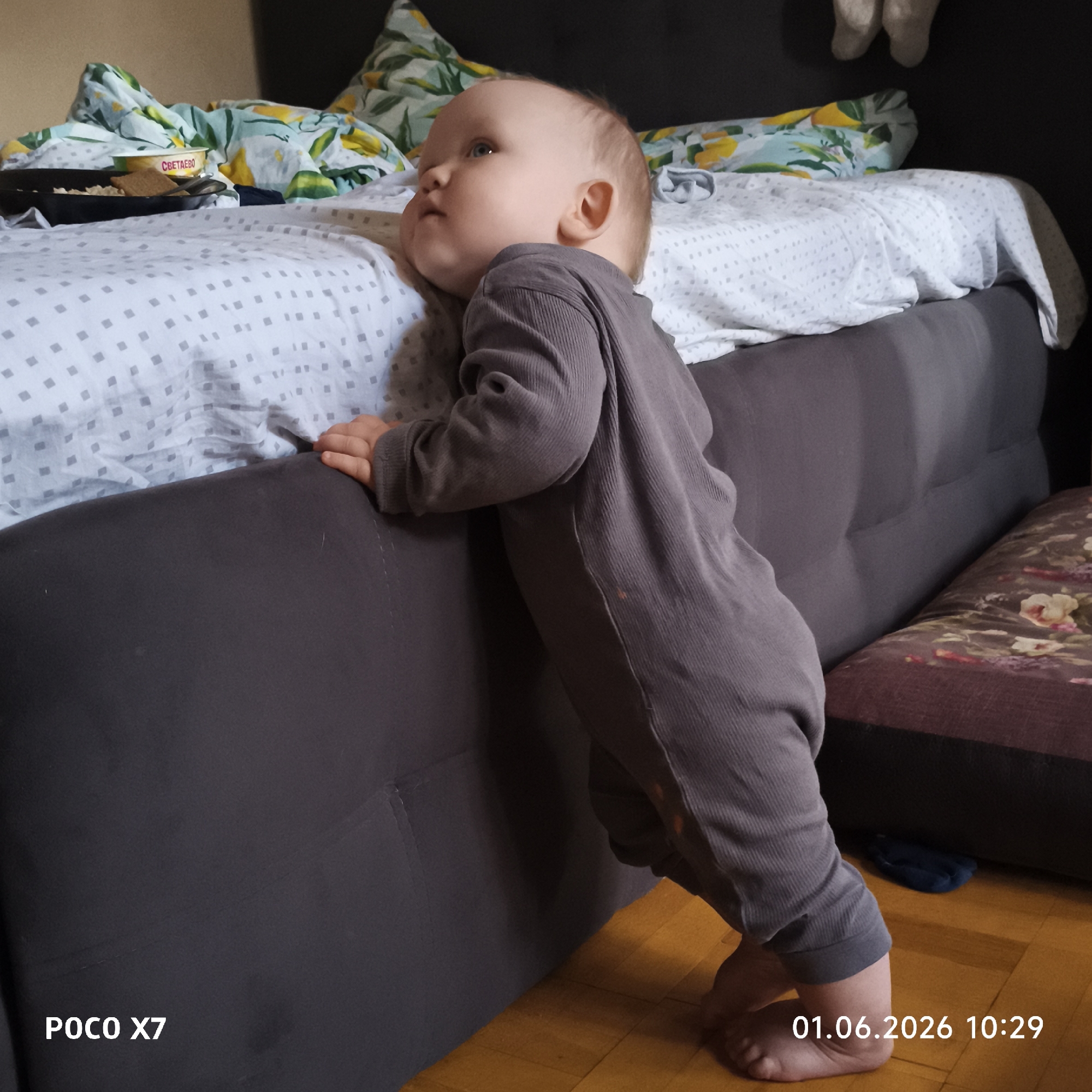 Quiet morning moments: children, babies, and pets at home