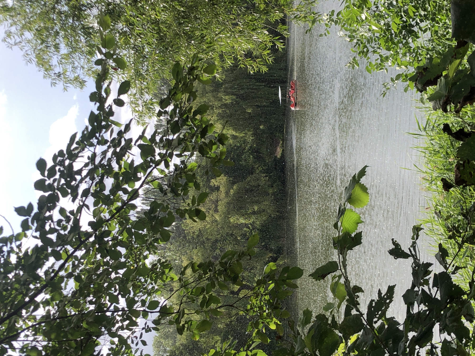 Red paddle boat on a rain-kissed, sun-dappled lake