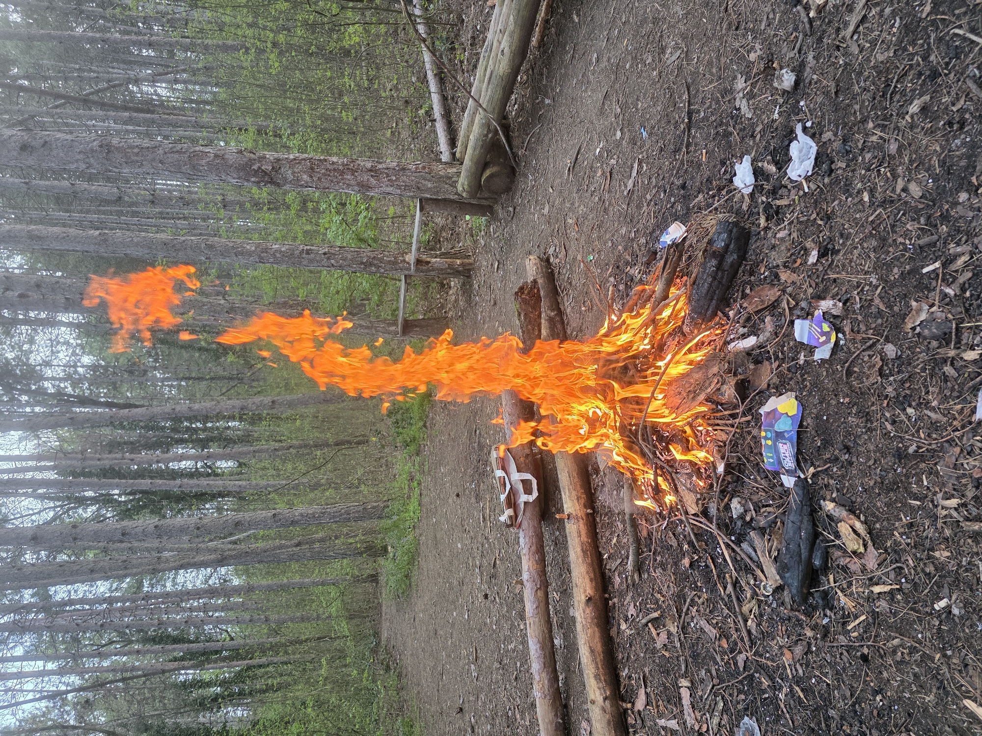 Campfire gathering with cooking documented by multiple witnesses