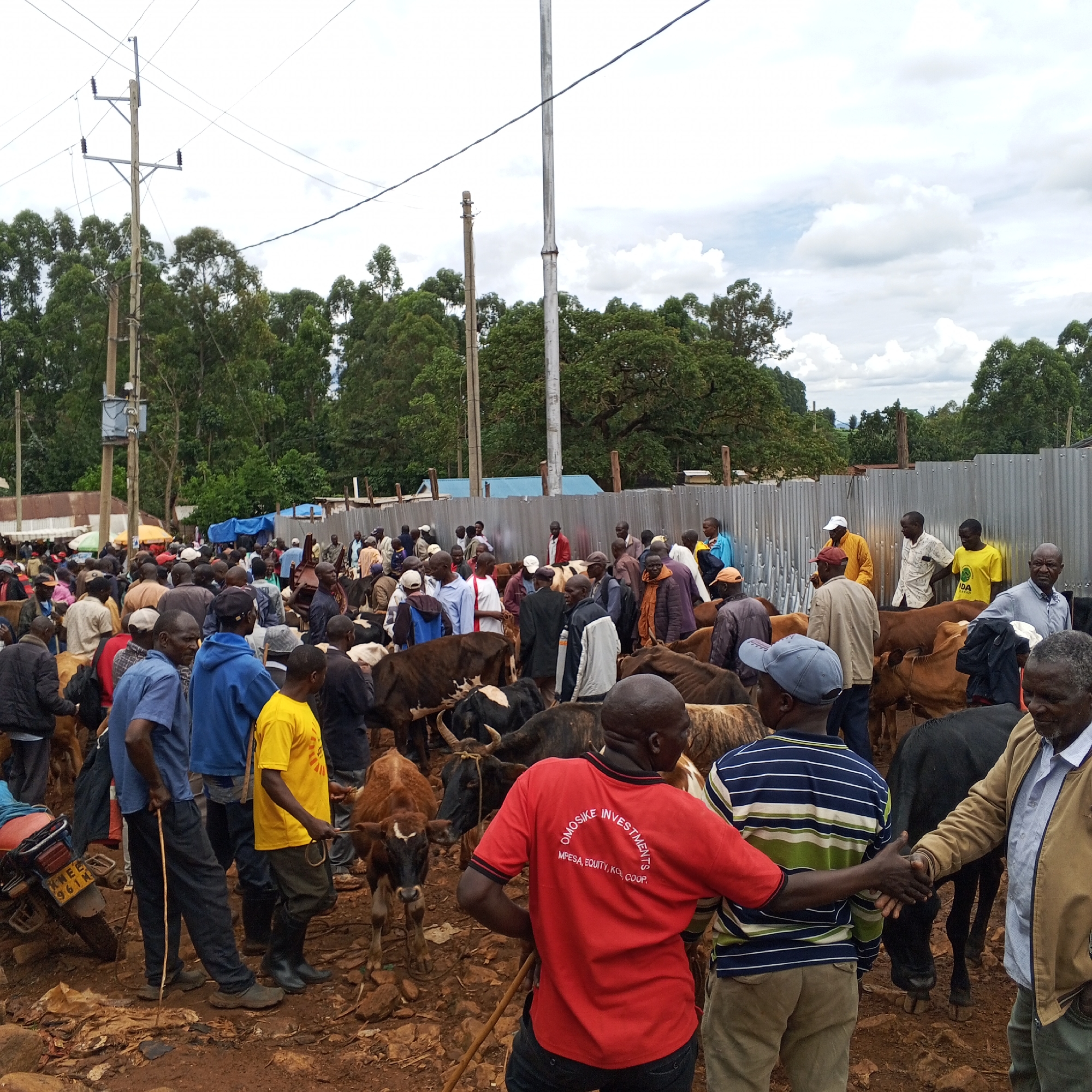 Livestock market and construction activity documented in Borabu Chitago