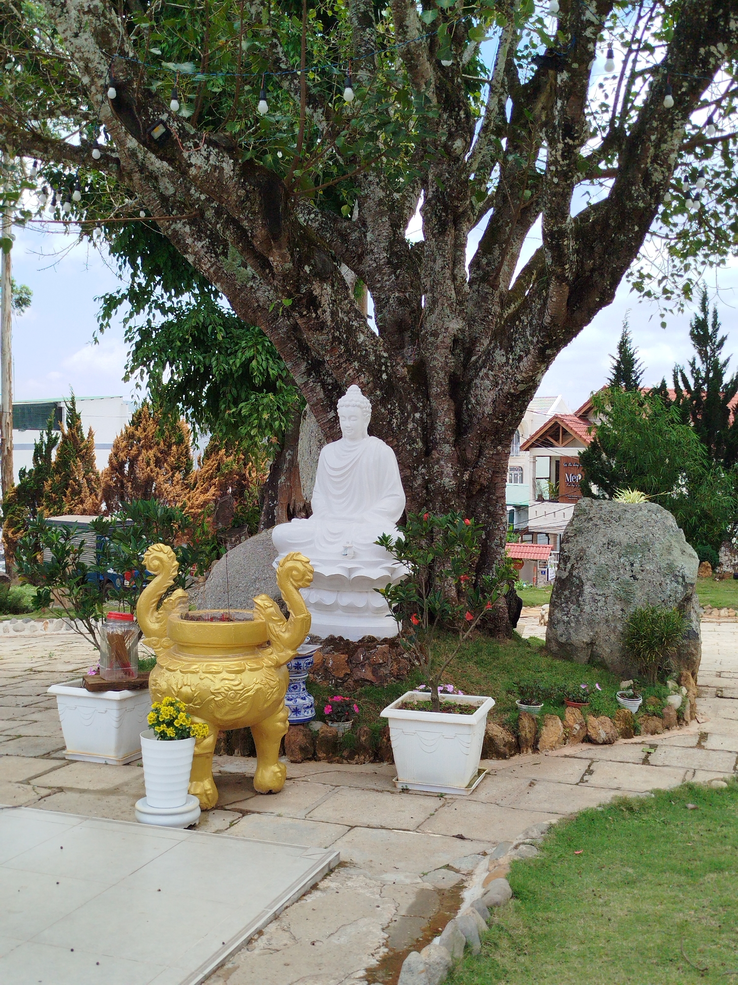 Tourist captures Buddhist temple and gardens in Da Lat
