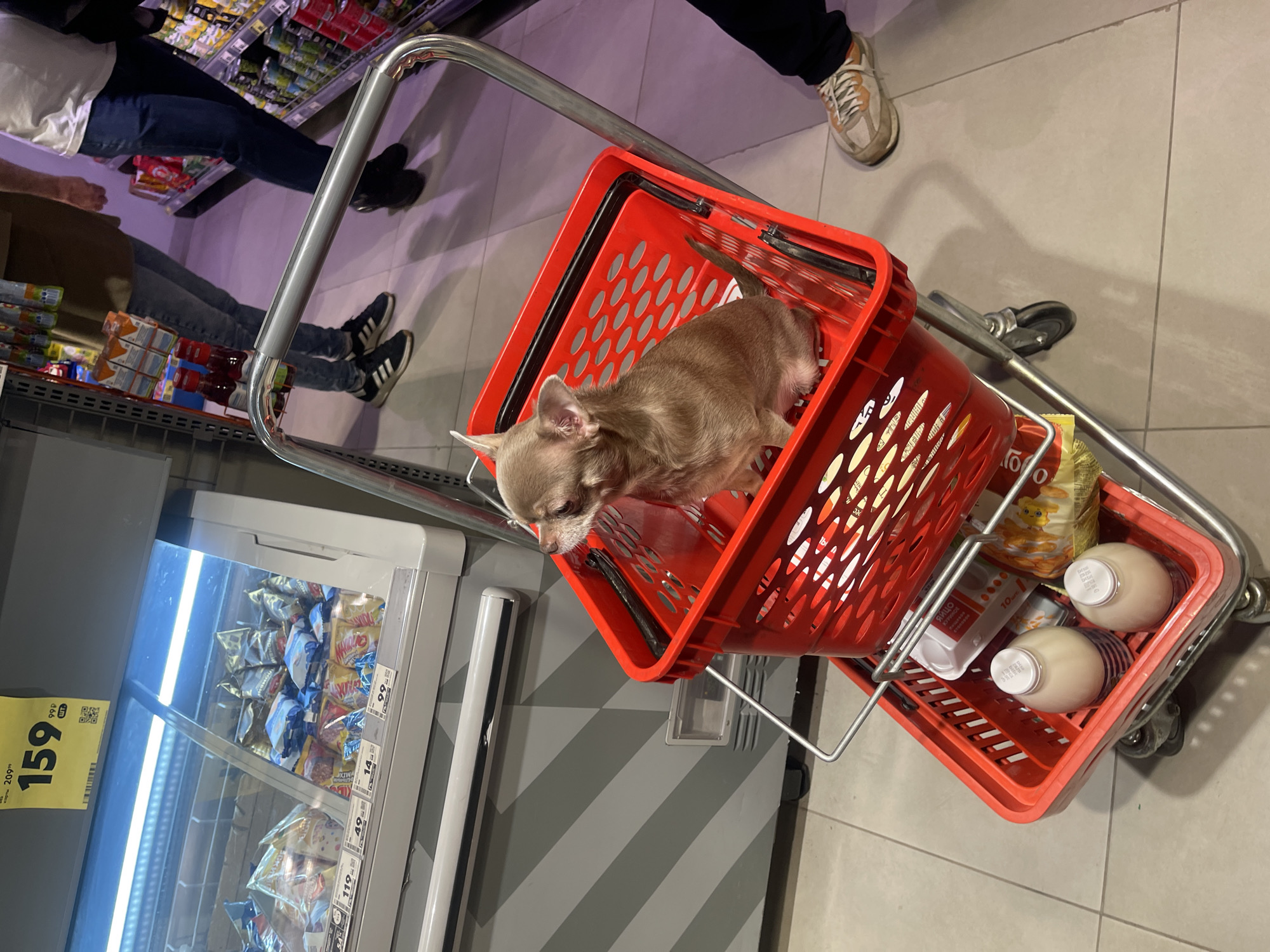 Overhead grocery store view captured by witness