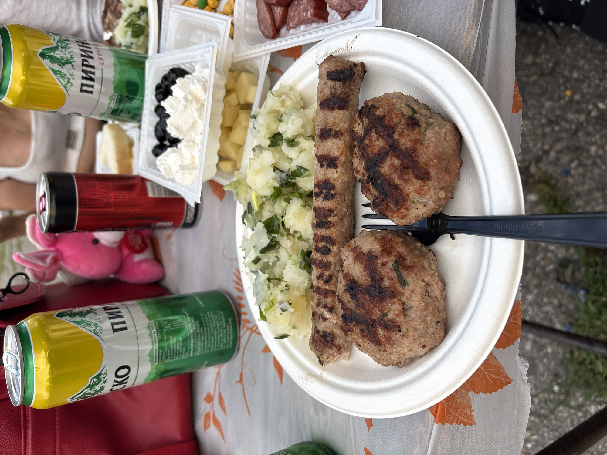Outdoor picnic meal documented in Rakovski, Bulgaria